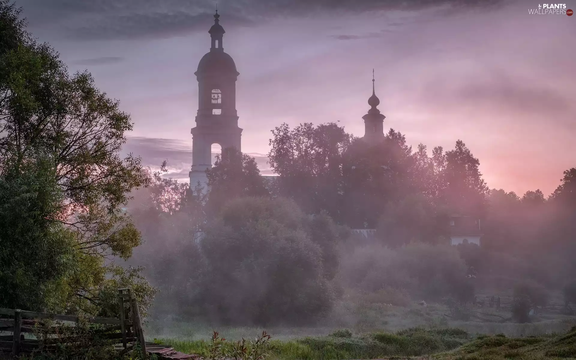 trees, viewes, Cerkiew, Fog, morning