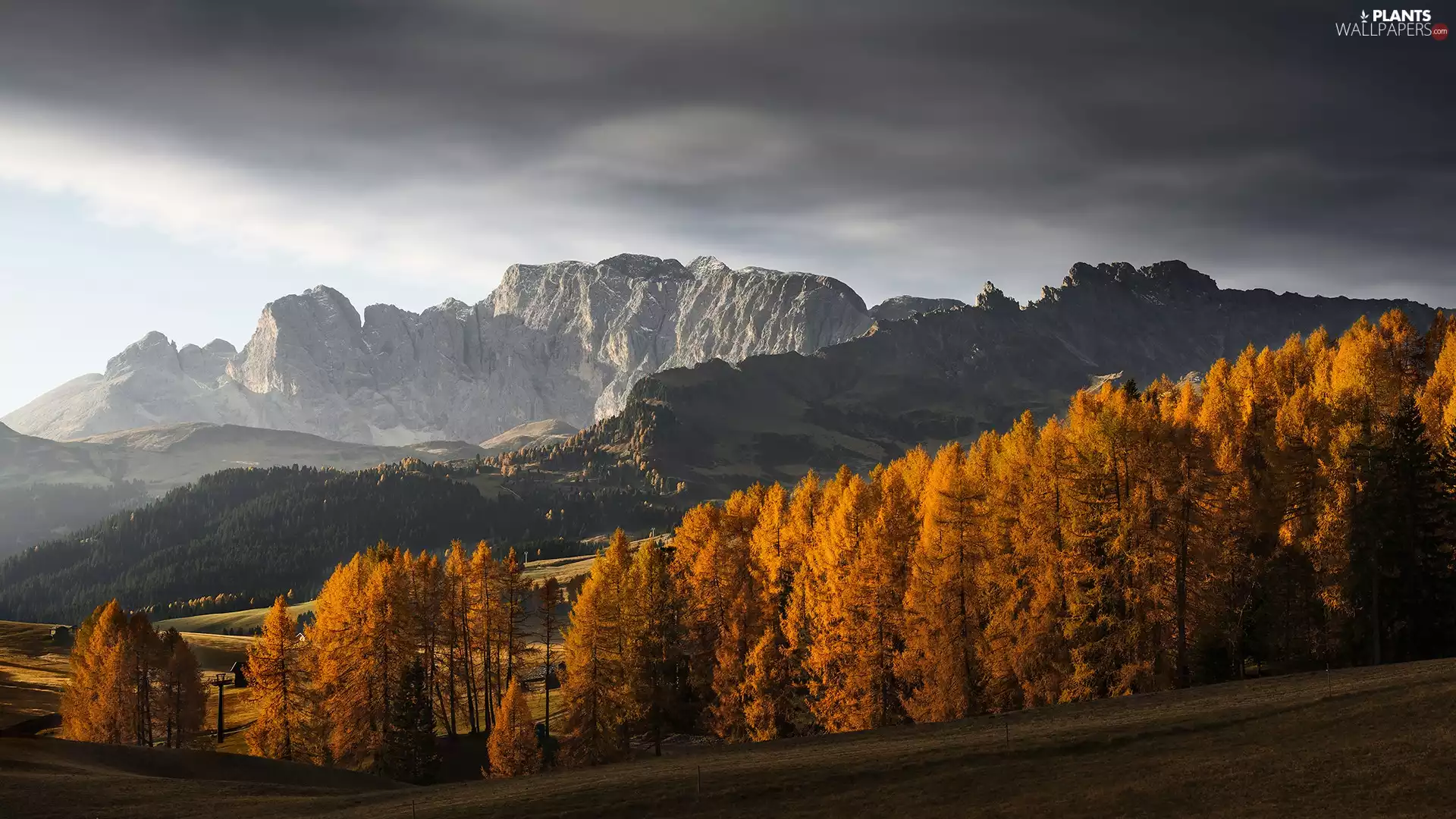 Dolomites, forest, clouds, trees, autumn, Mountains, Italy, viewes