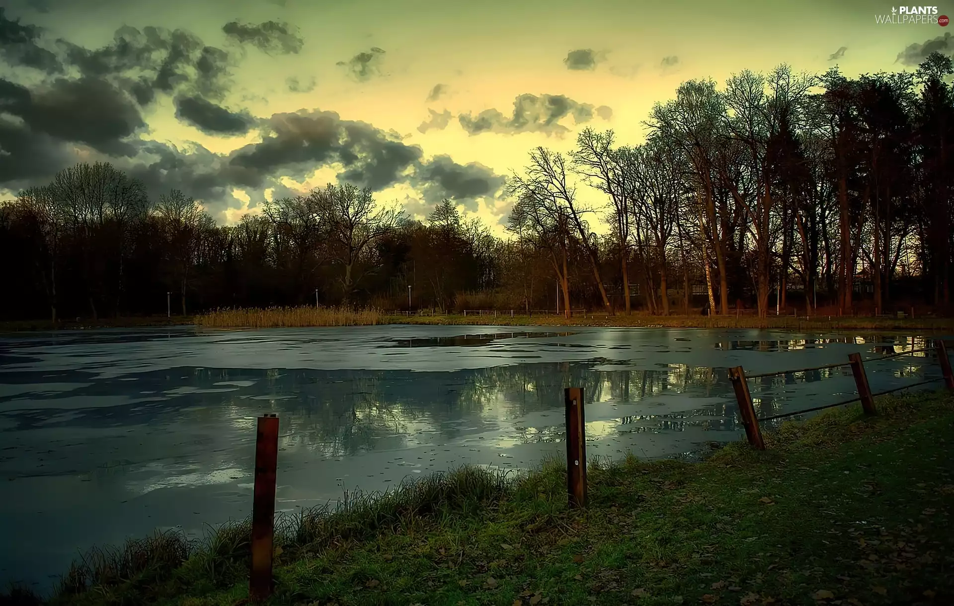 trees, viewes, clouds, autumn, lake