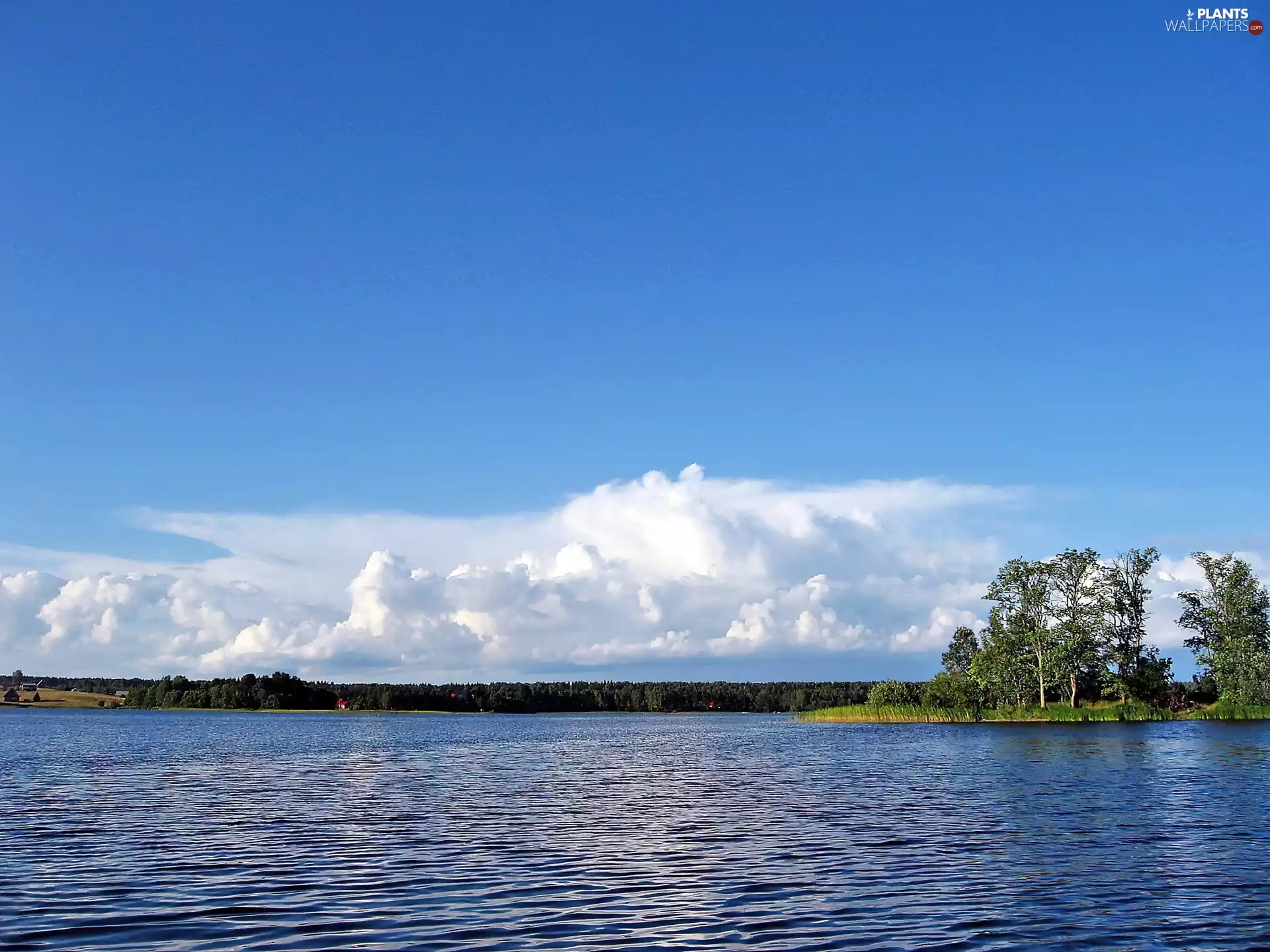 trees, viewes, clouds, Islet, lake