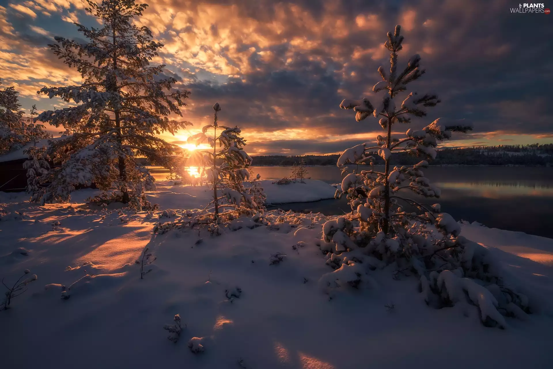 winter, lake, clouds, trees, Sunrise, Ringerike, Norway, viewes