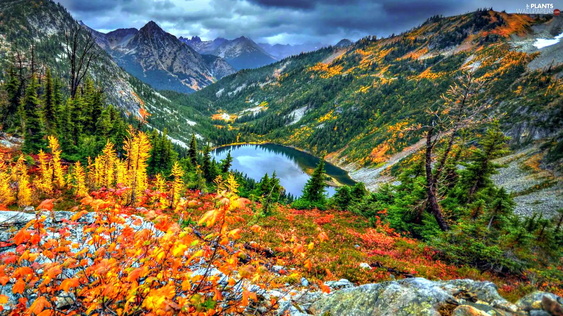 viewes, clouds, lake, trees, Mountains