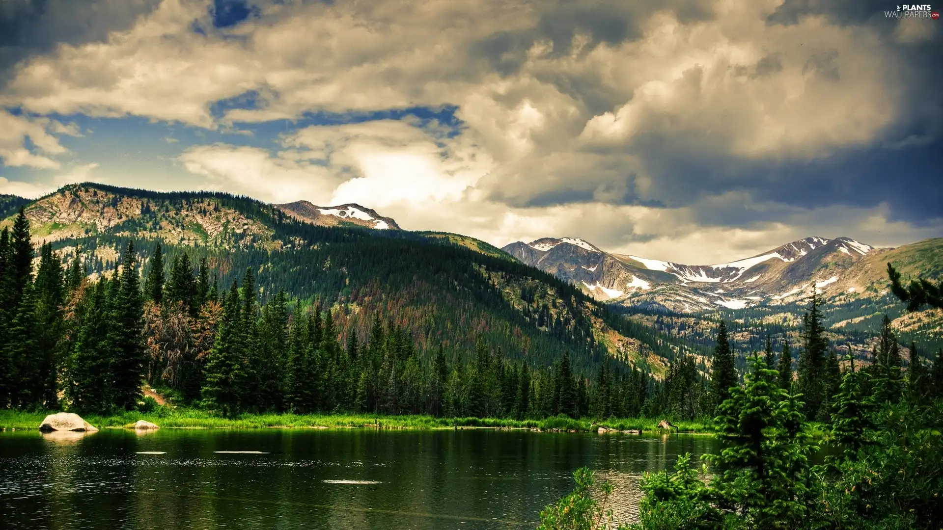 viewes, clouds, lake, trees, Mountains