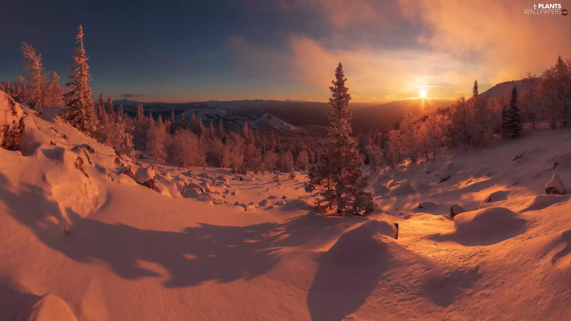 forest, Snowy, clouds, trees, Sunrise, Mountains, winter, viewes
