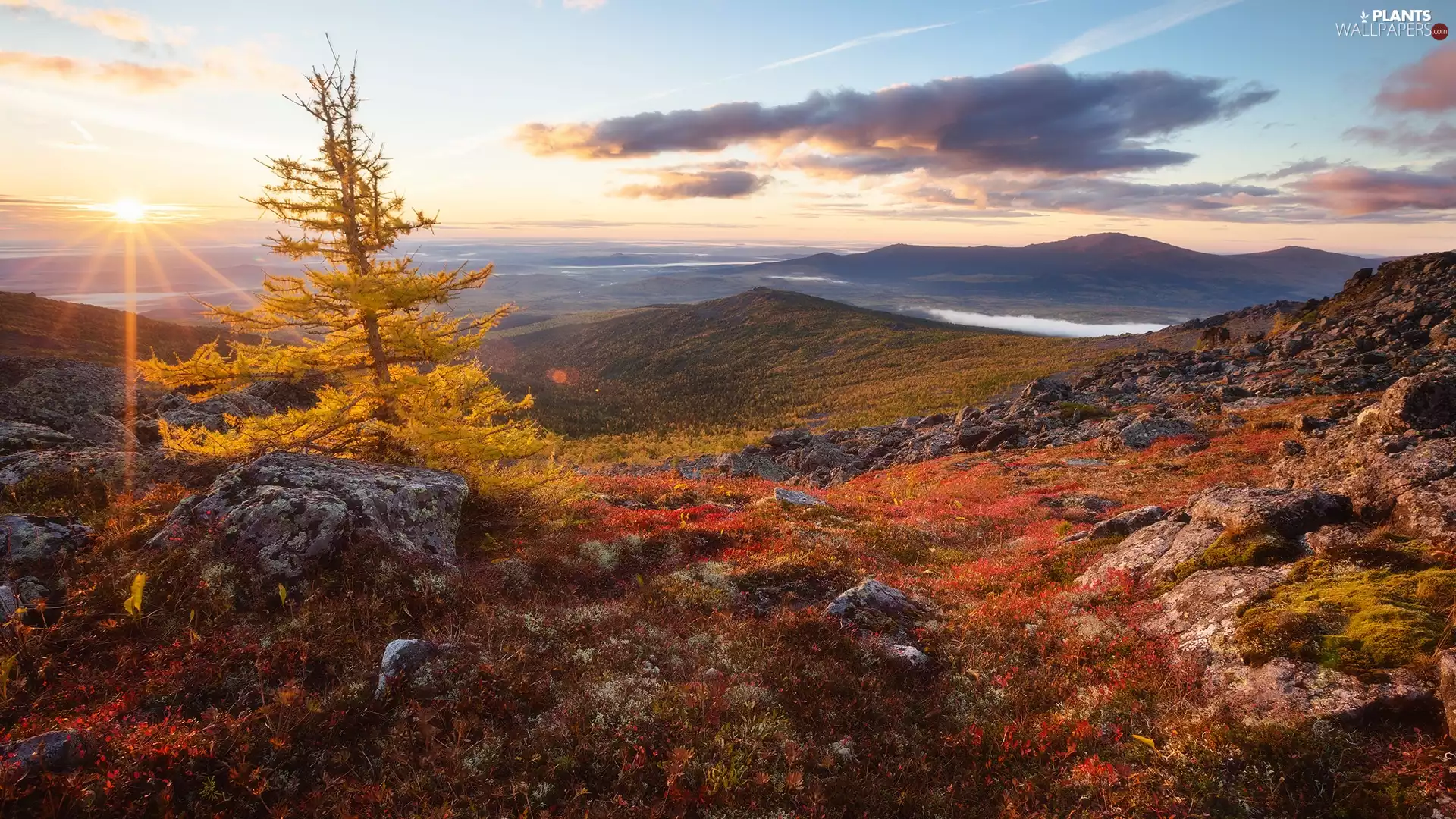 viewes, Mountains, rays of the Sun, clouds, rocks, trees