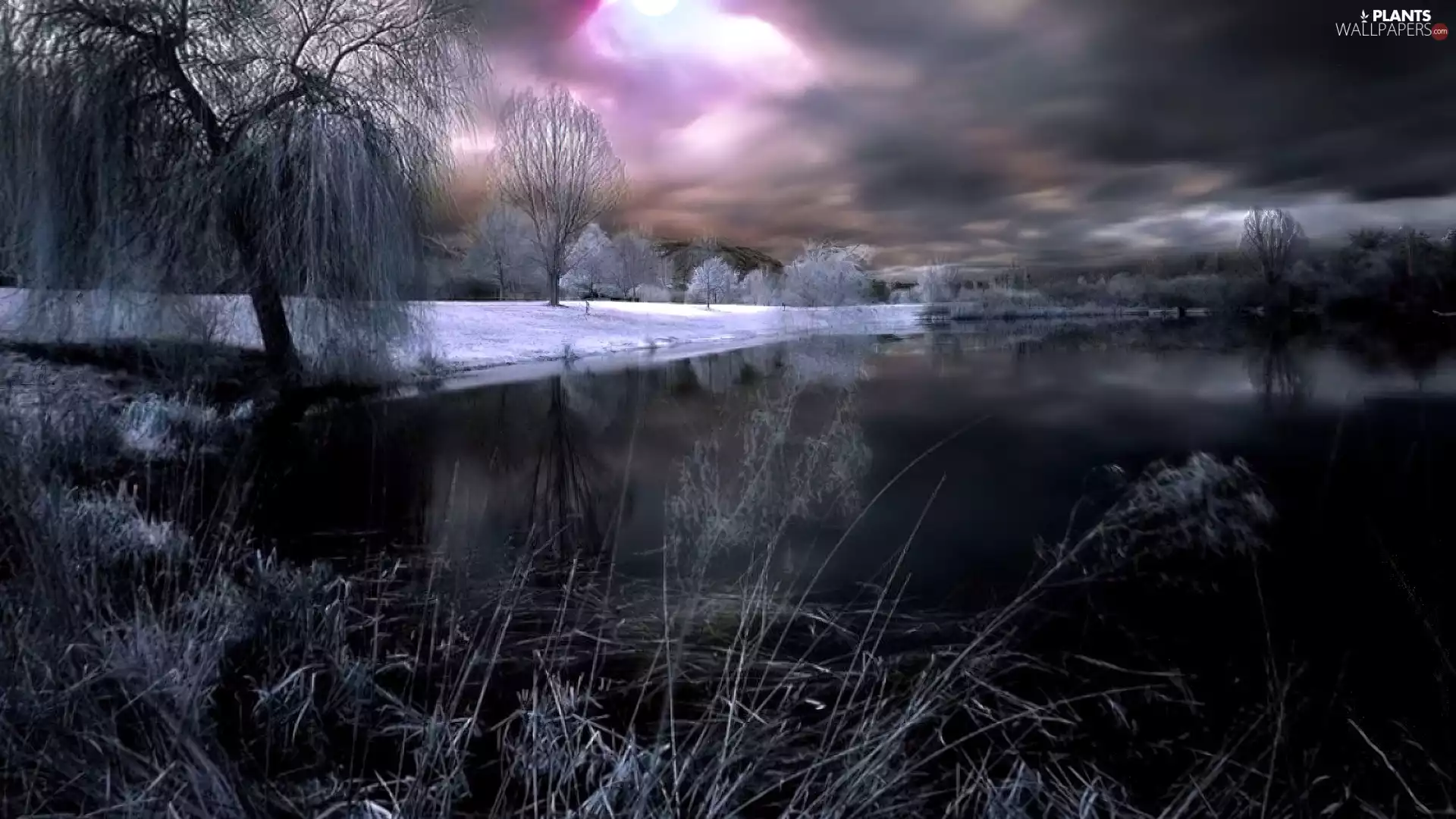Sky, lake, trees, viewes, winter, cloudy