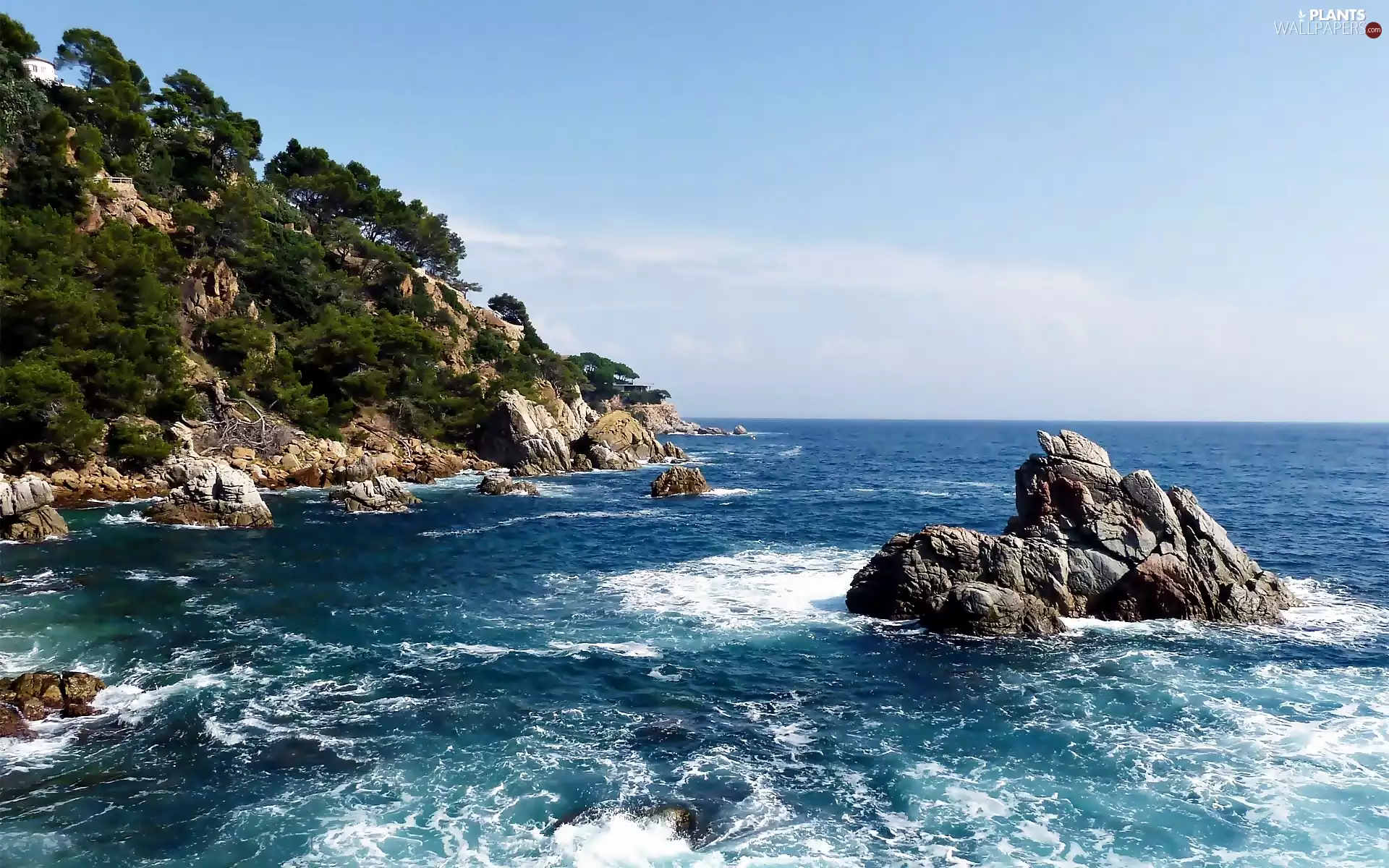 trees, viewes, Coast, rocks, sea