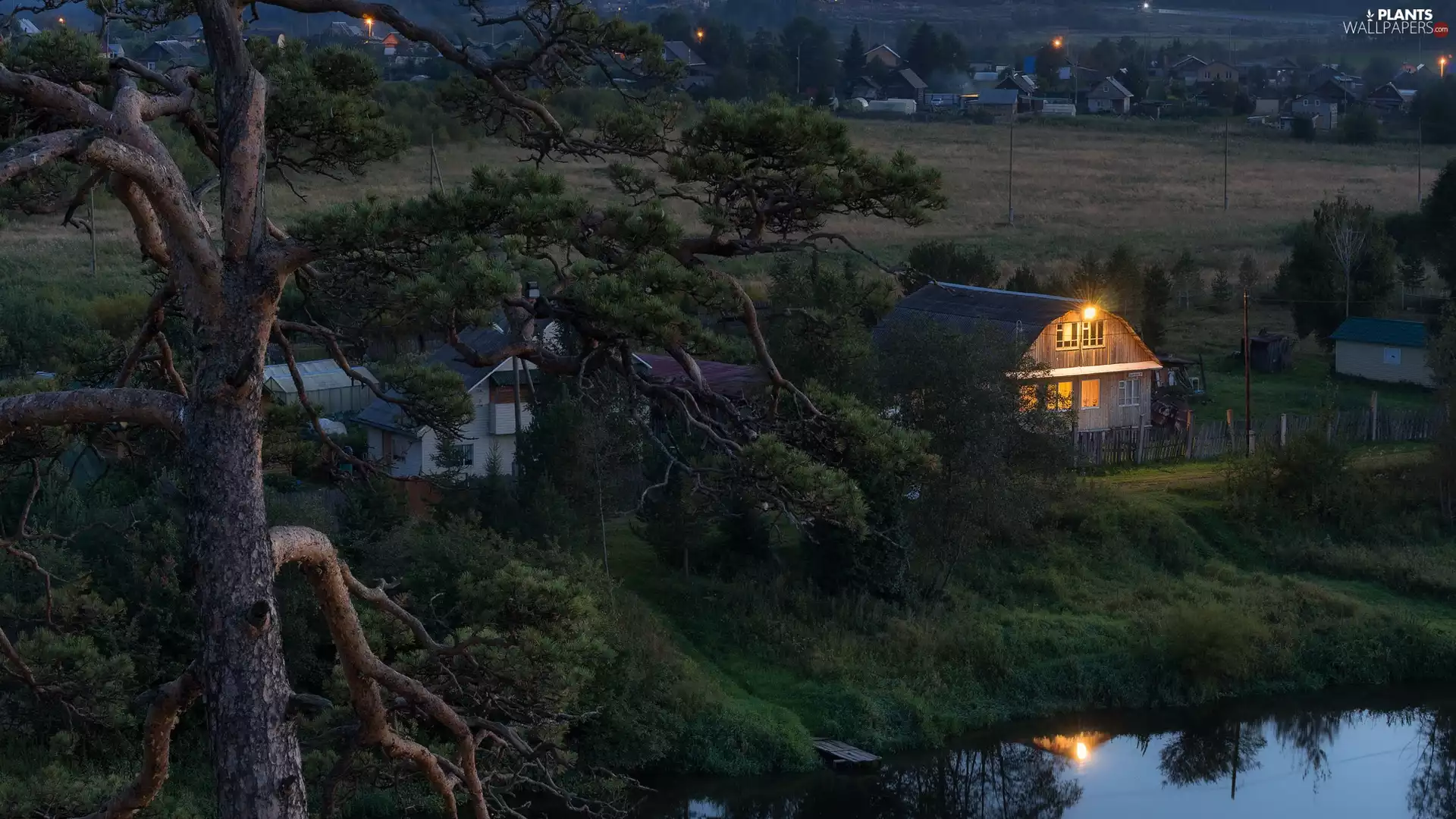 Pond - car, colony, viewes, pine, trees, Houses
