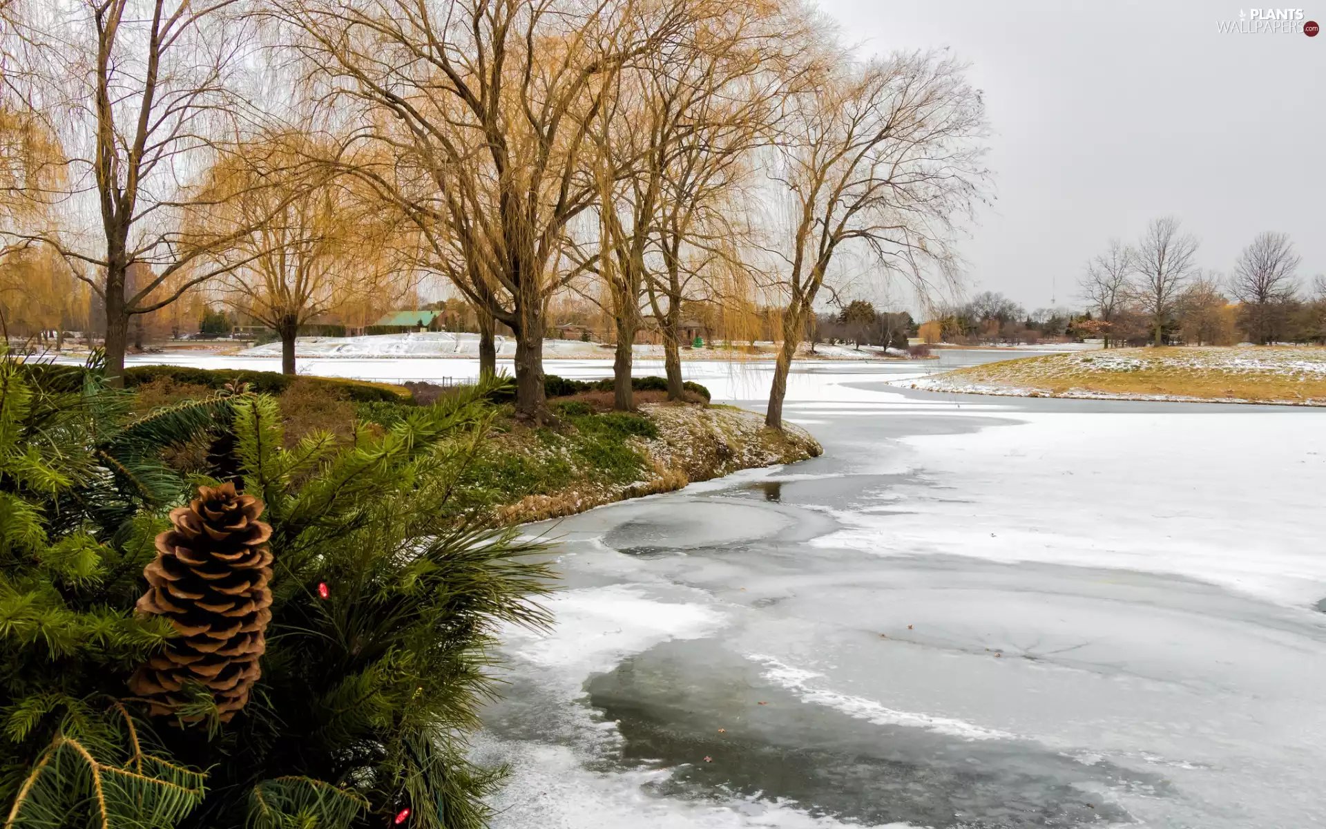 River, trees, cone, viewes, winter, snow, Houses