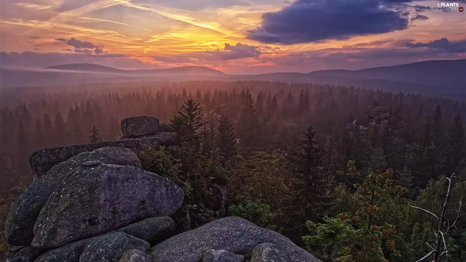 viewes, Fog, Jizera Mountains, trees, Great Sunsets, rocks, Czech Republic