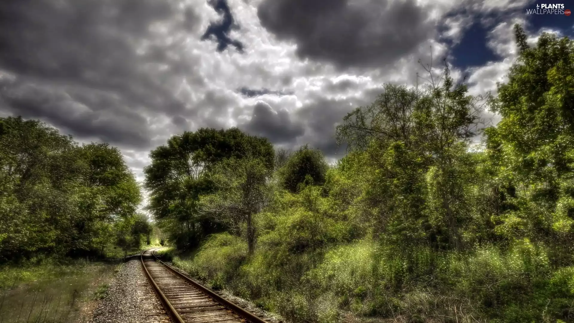 track, trees, dark, viewes, summer, railway, clouds