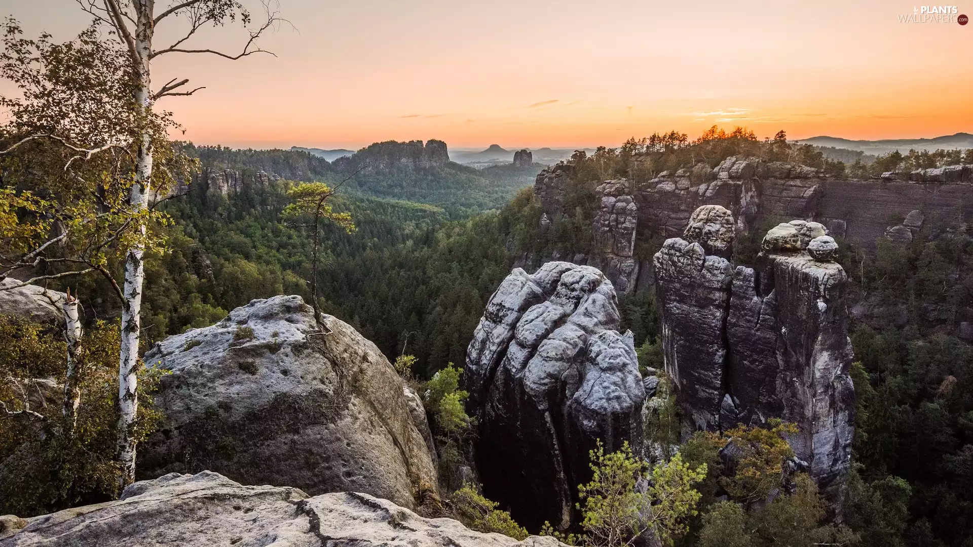 Bastei, trees, Germany, viewes, Saxon Switzerland National Park, rocks, Děčínská vrchovina, Great Sunsets