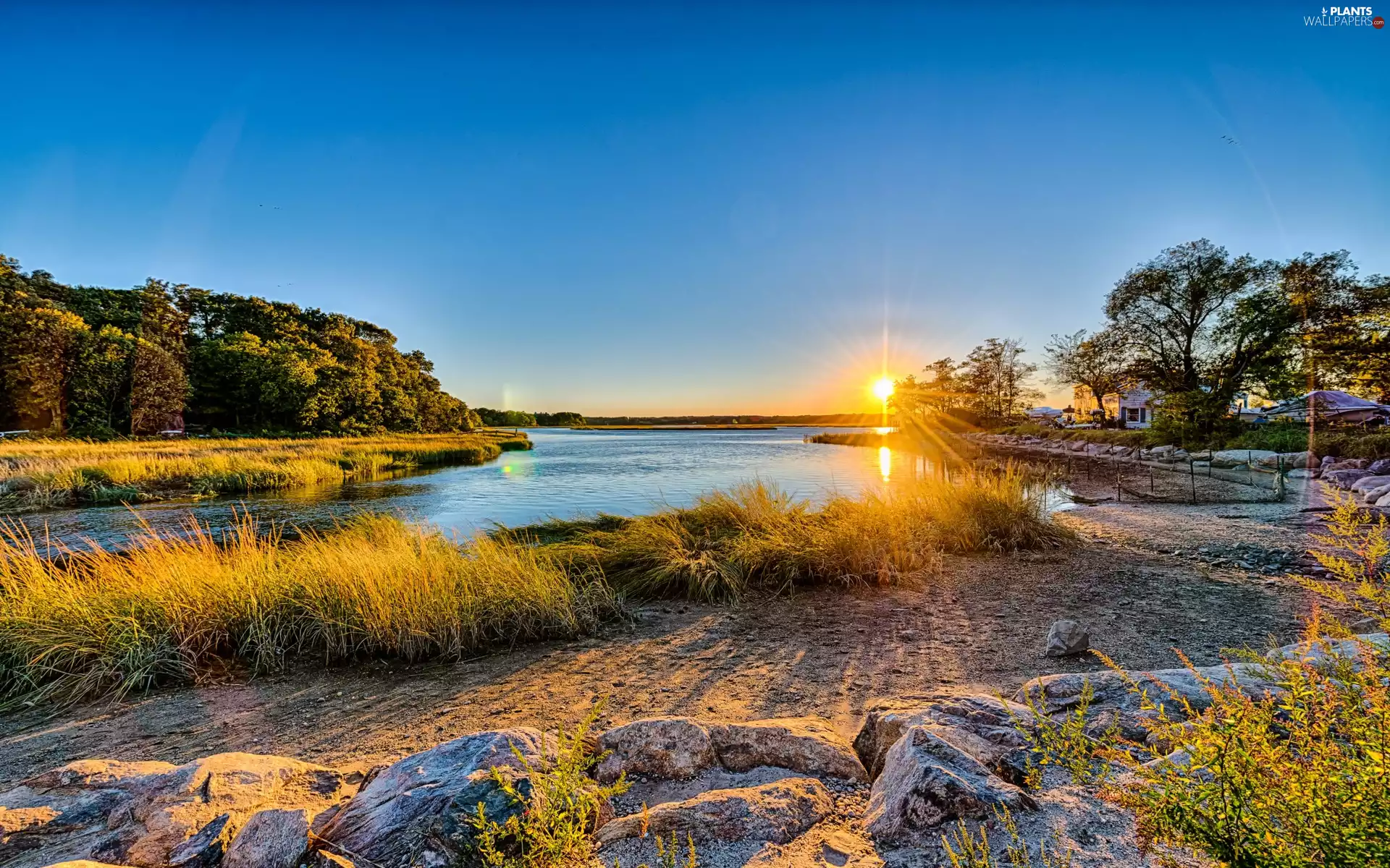 grass, River, east, dawn, Stones, autumn, viewes, dry, Way, trees, sun