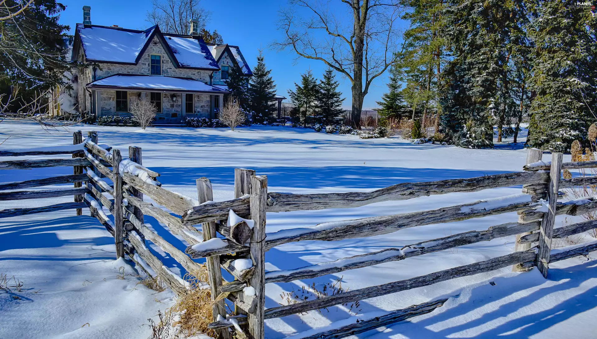 Fance, winter, trees, viewes, house, fence