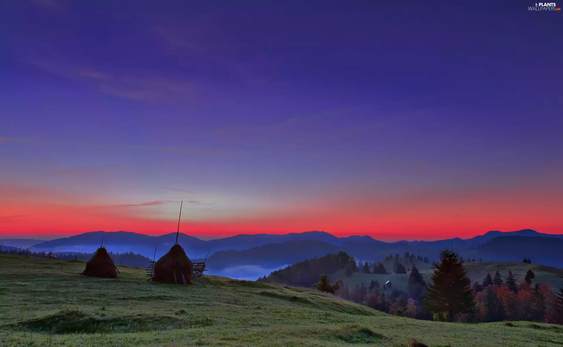 west, Mountains, trees, viewes, sun, Field