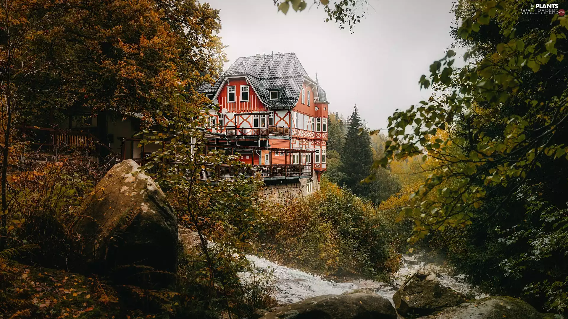 trees, viewes, flux, rocks, house