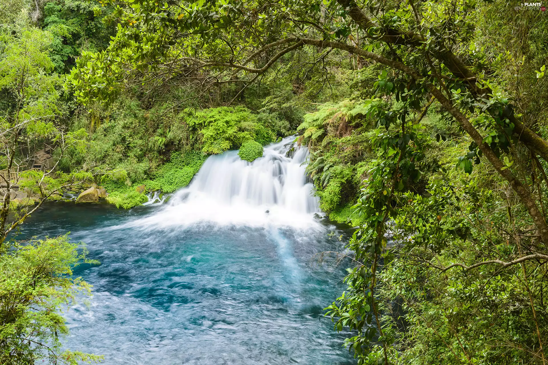 trees, viewes, flux, River, setoff