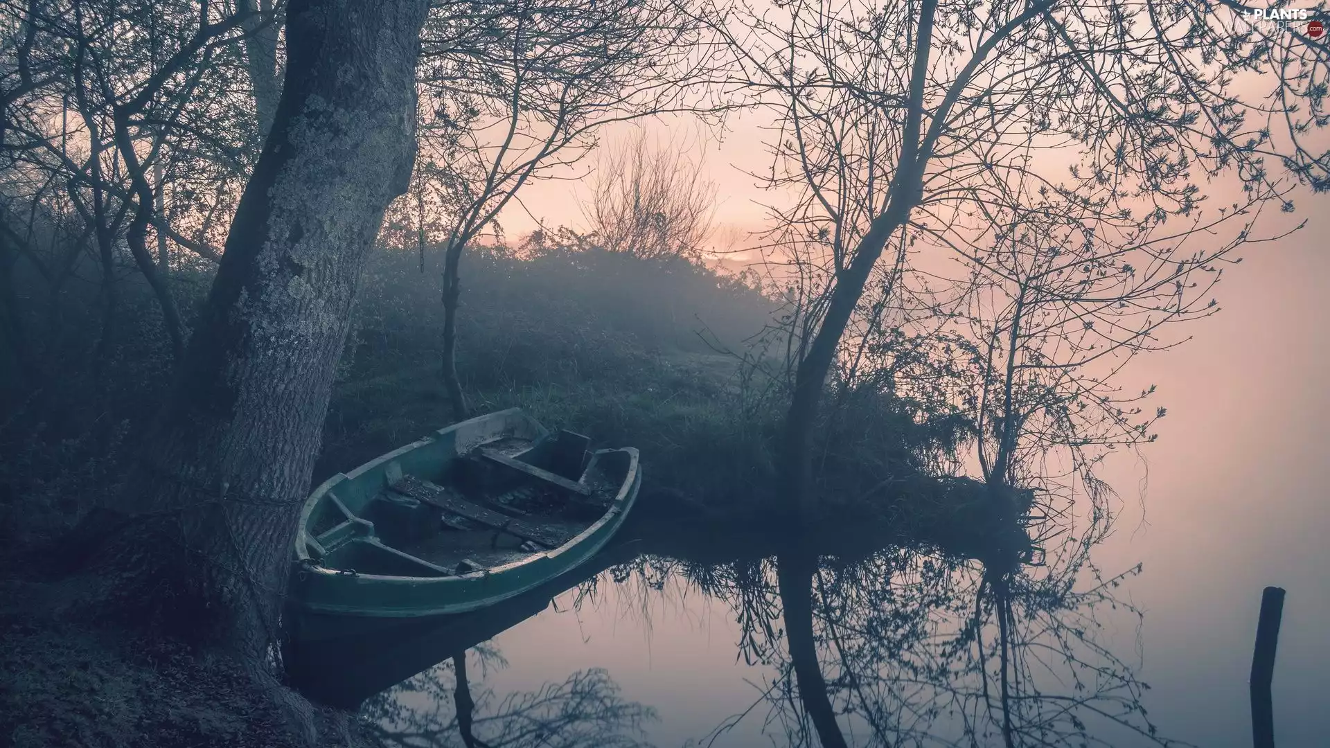 trees, viewes, Fog, Boat, lake