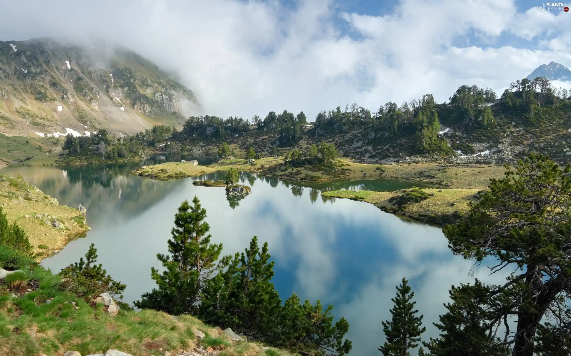 viewes, Fog, Mountains, trees, lake