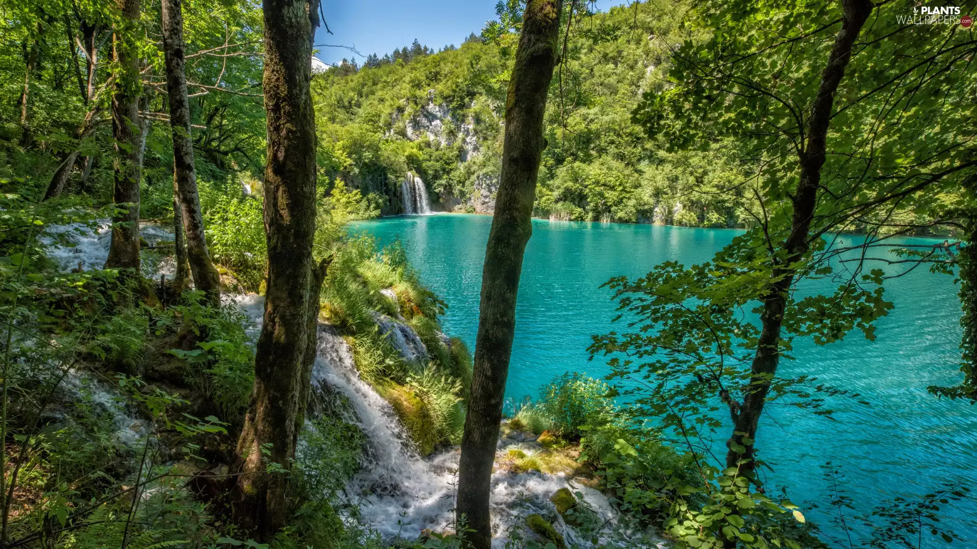 flux, lake, trees, viewes, waterfall, forest