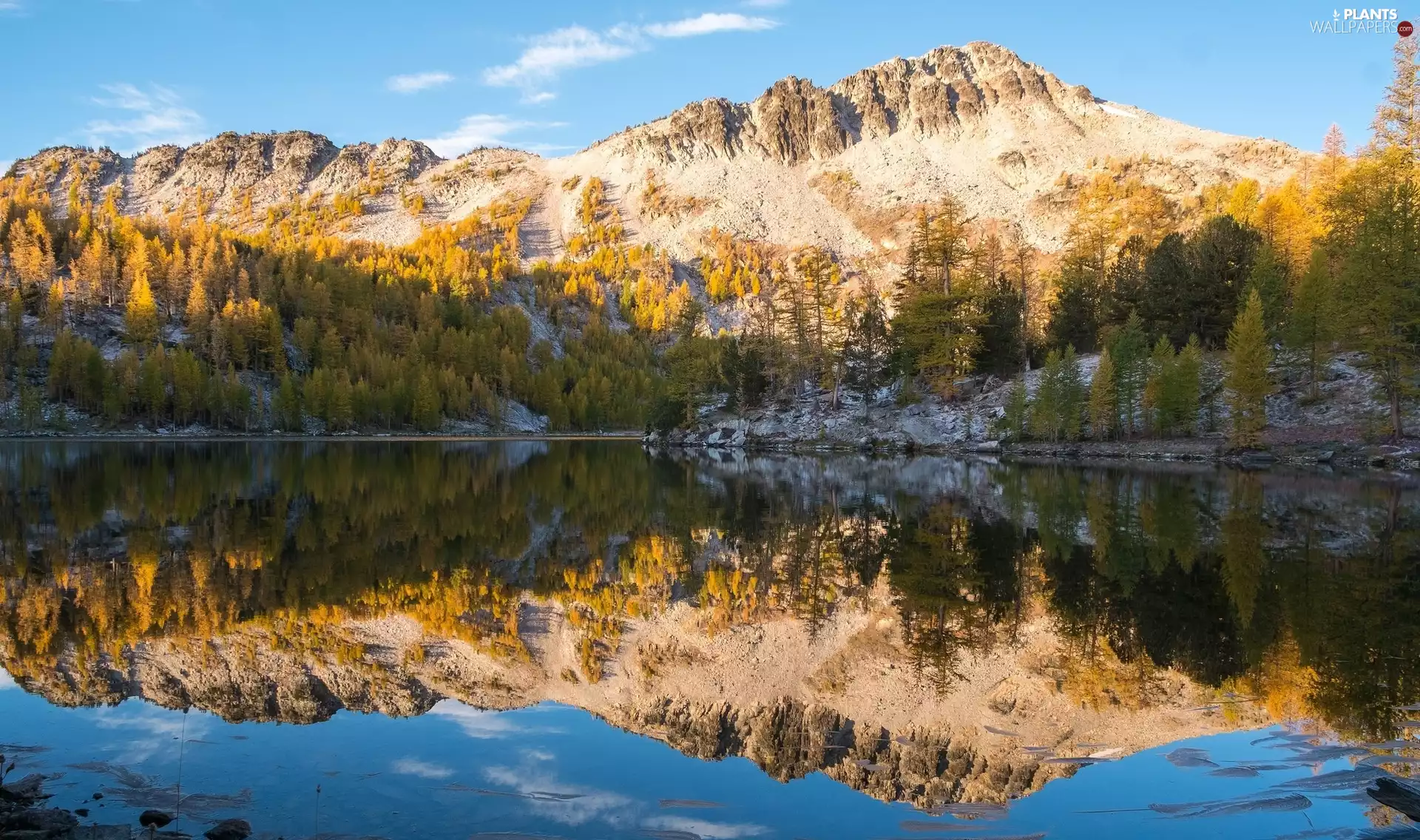 lake, Mountains, trees, viewes, reflection, forest