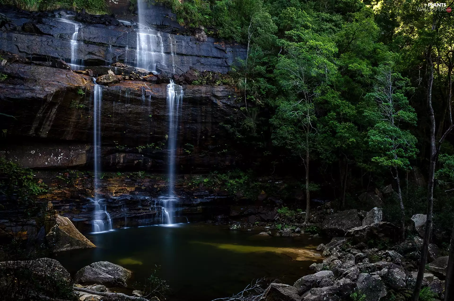 trees, viewes, forest, Stones, waterfall