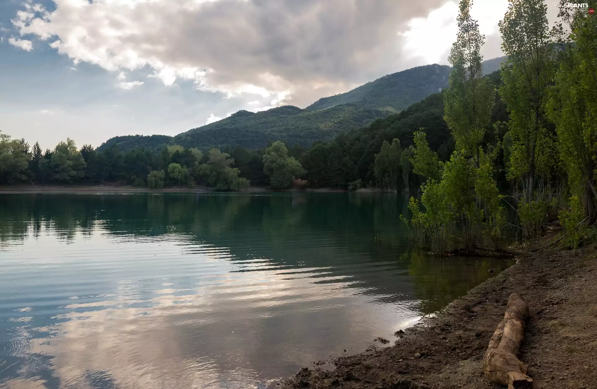 trees, viewes, forested, Mountains, lake