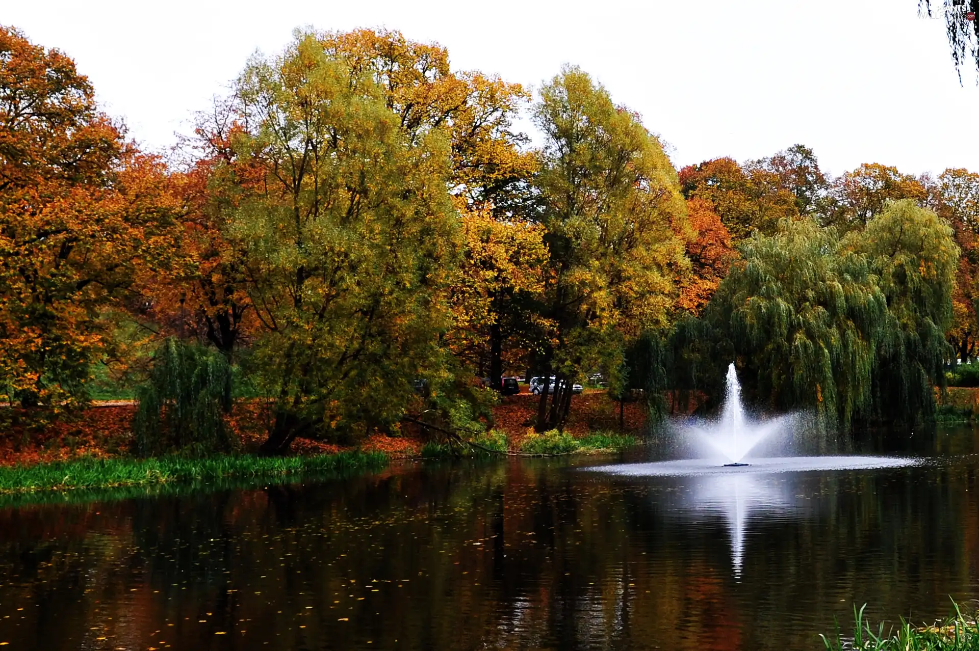 color, Park, viewes, fountain, trees, Autumn