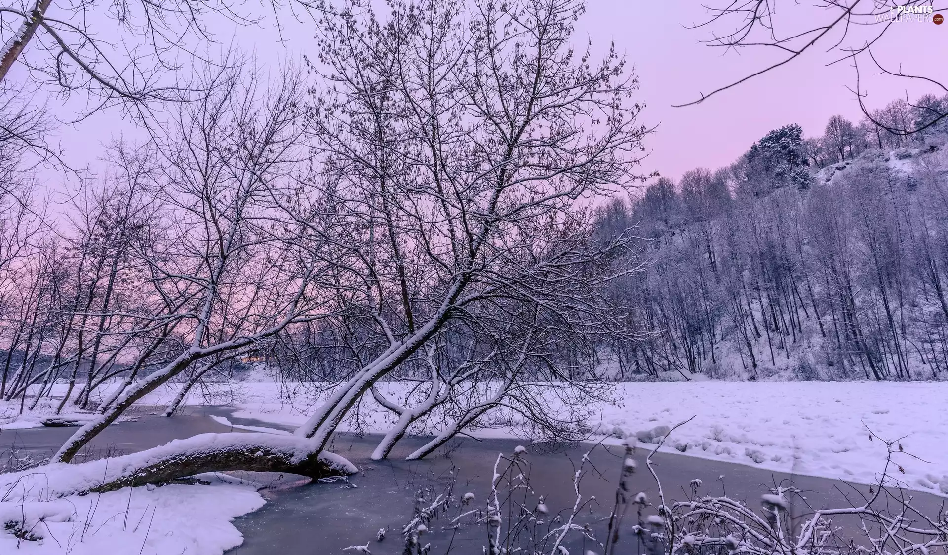 River, winter, trees, viewes, frosty, Frozen