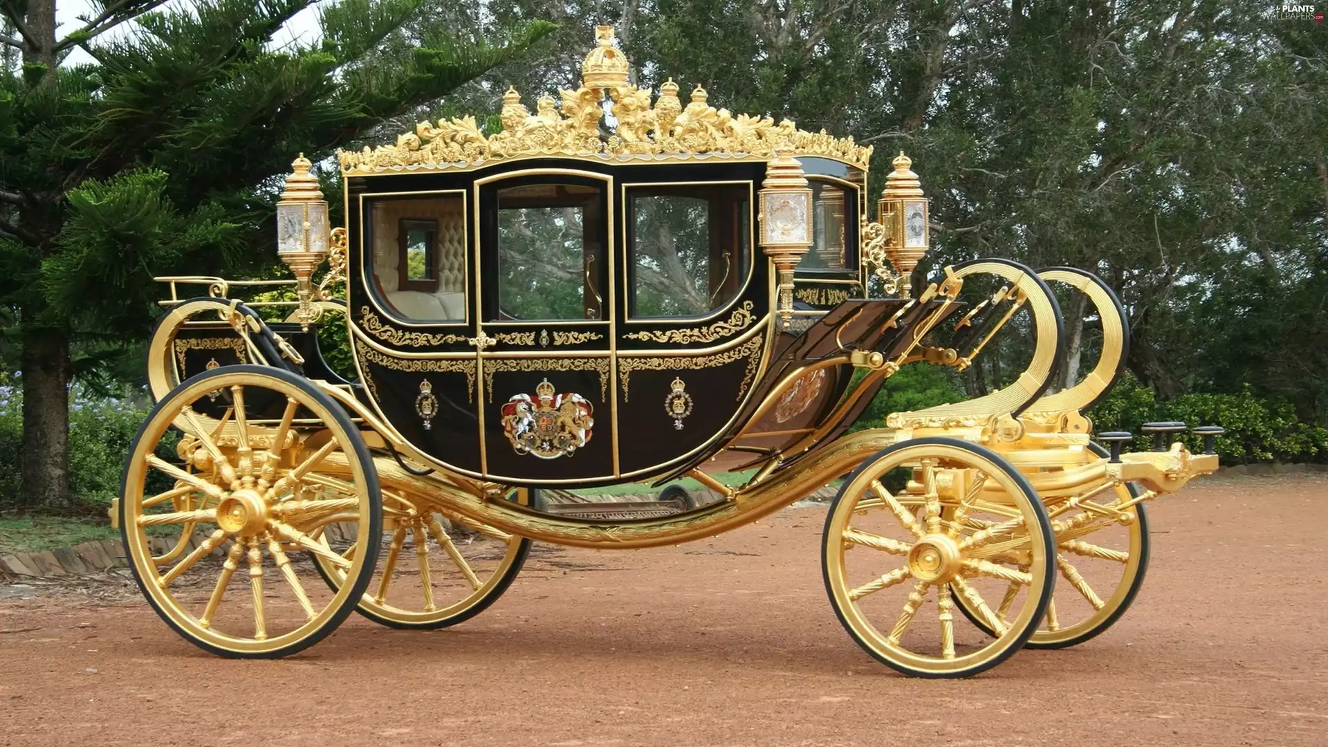 palace, carriage, trees, viewes, Flowers, Garden