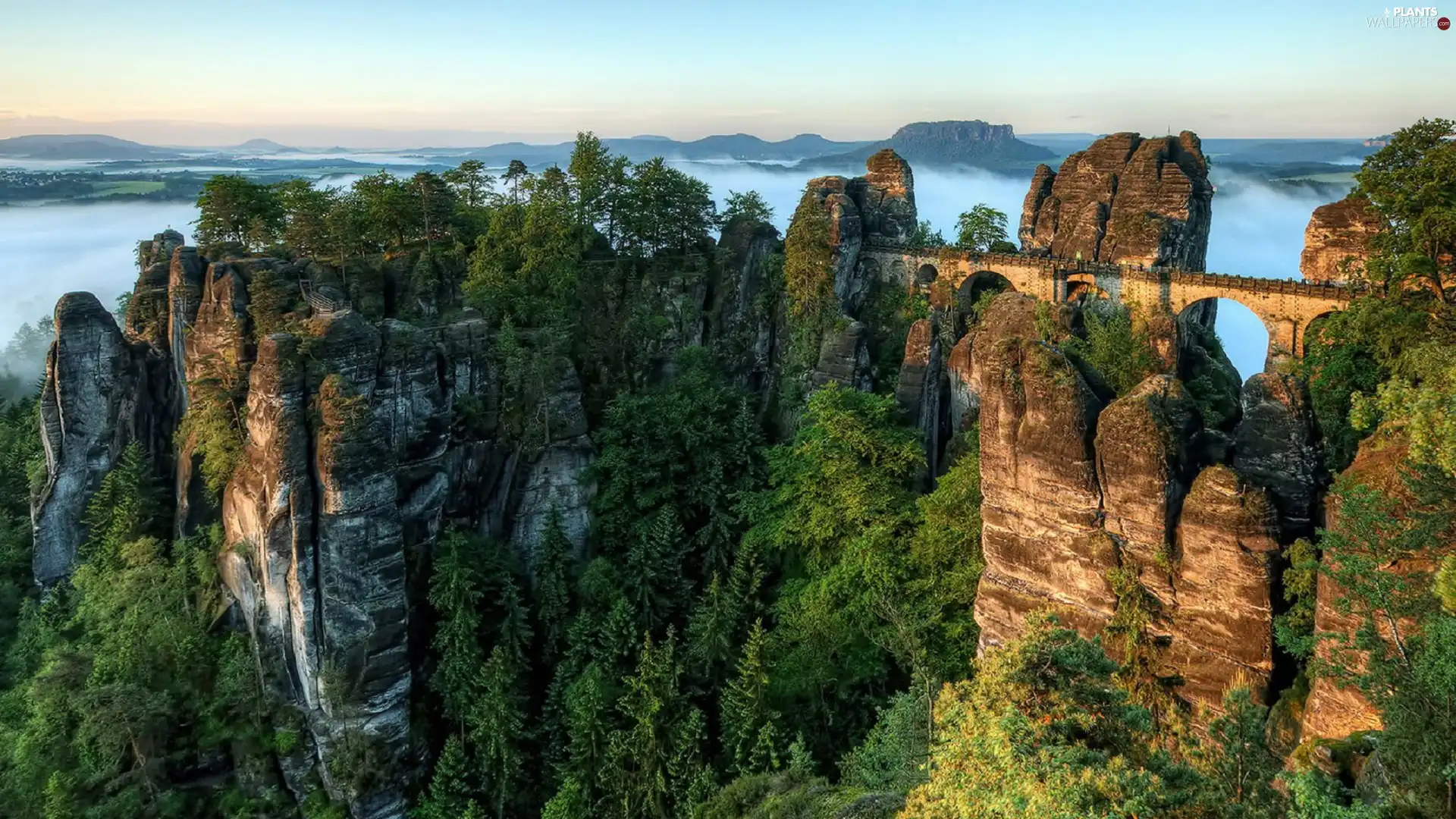 viewes, Germany, rocks, trees, Mountains