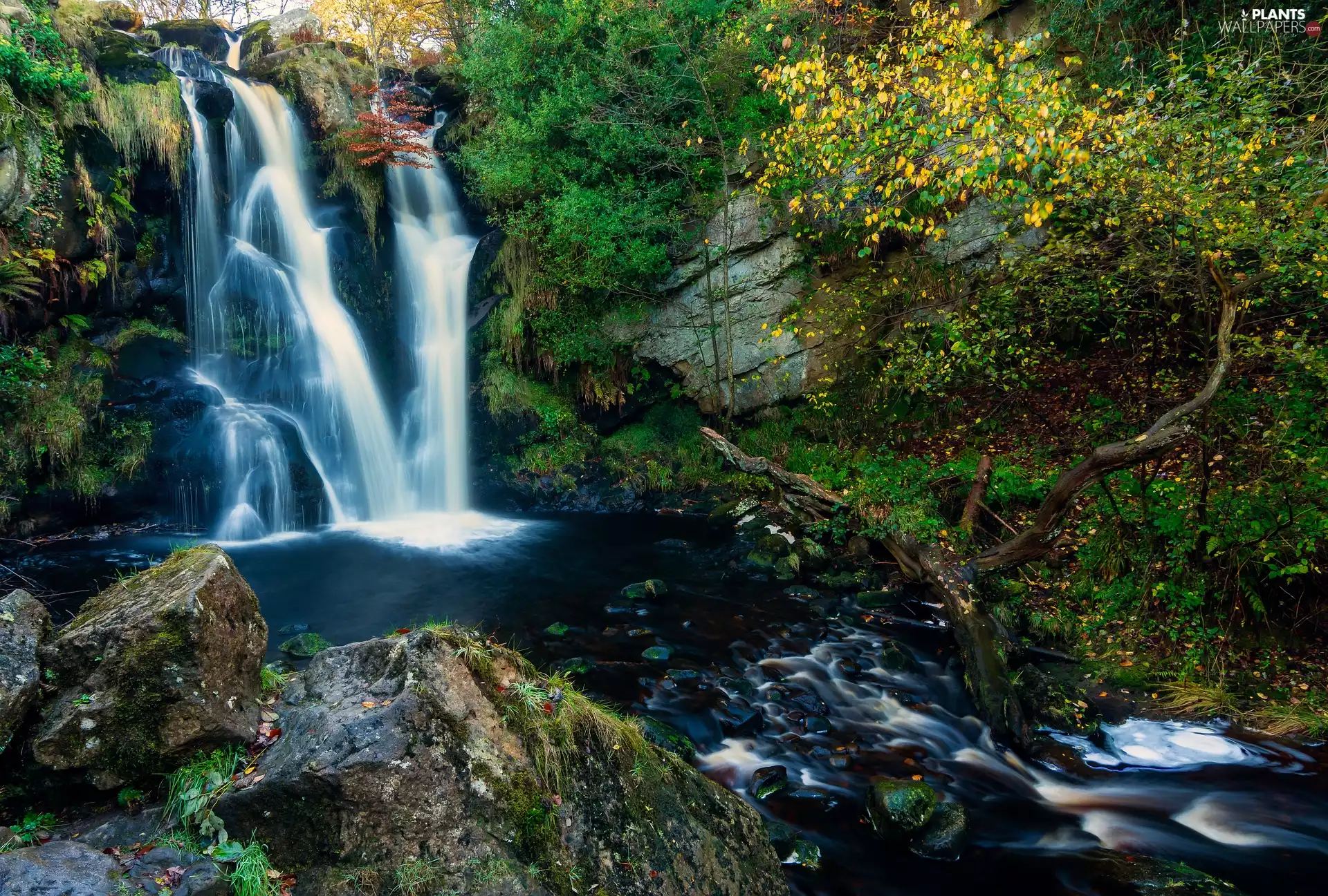 Valley Of Desolation, Posforth Gill Waterfall, rocks, forest, viewes, West Yorkshire County, England, trees