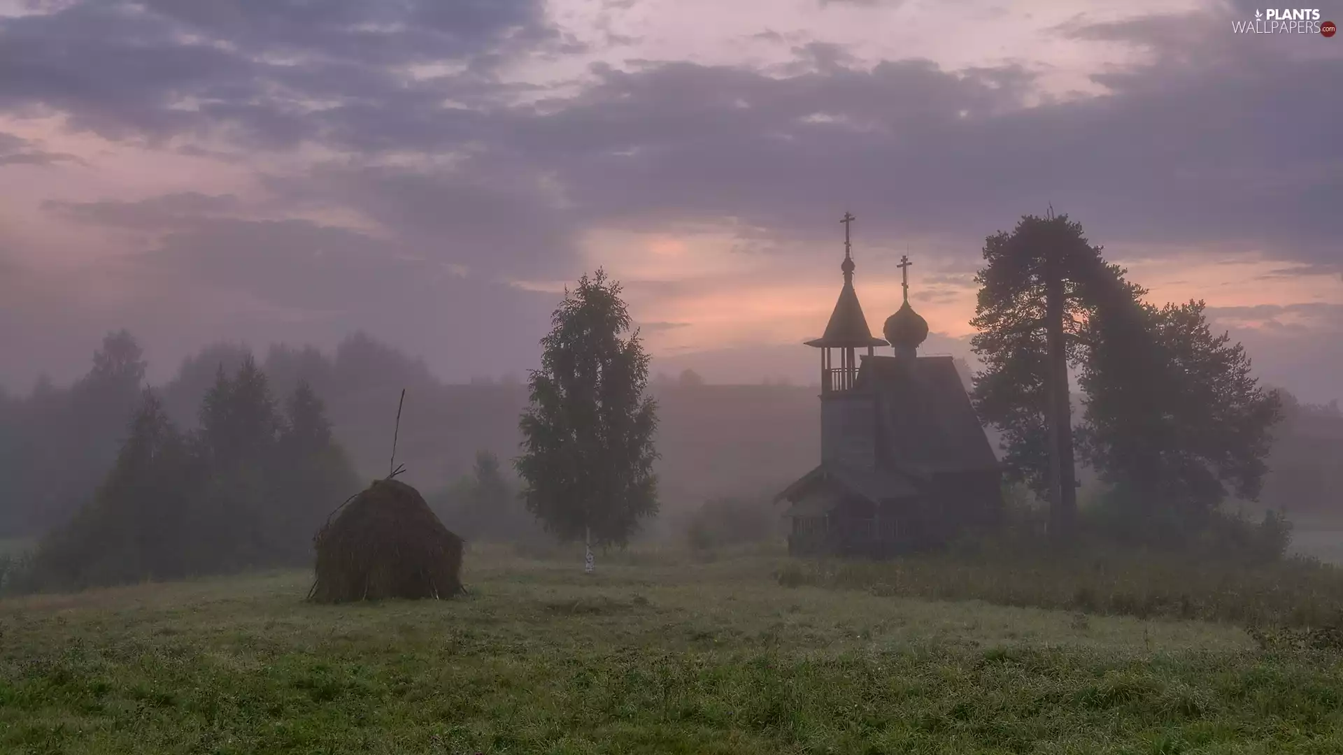 Fog, Meadow, grass, trees, bunch, chapel, Cerkiew, viewes
