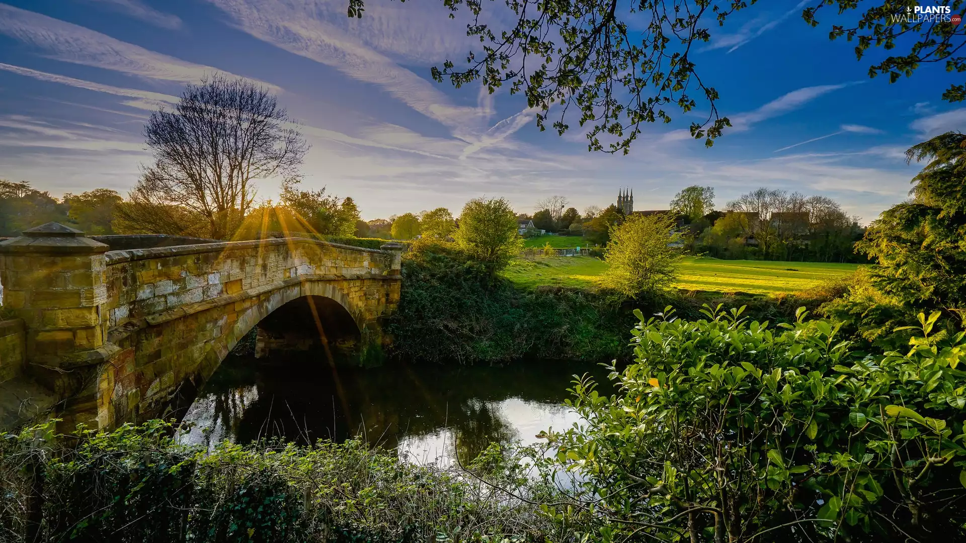 River, trees, rays of the Sun, viewes, grass, bridge, stone, Bush