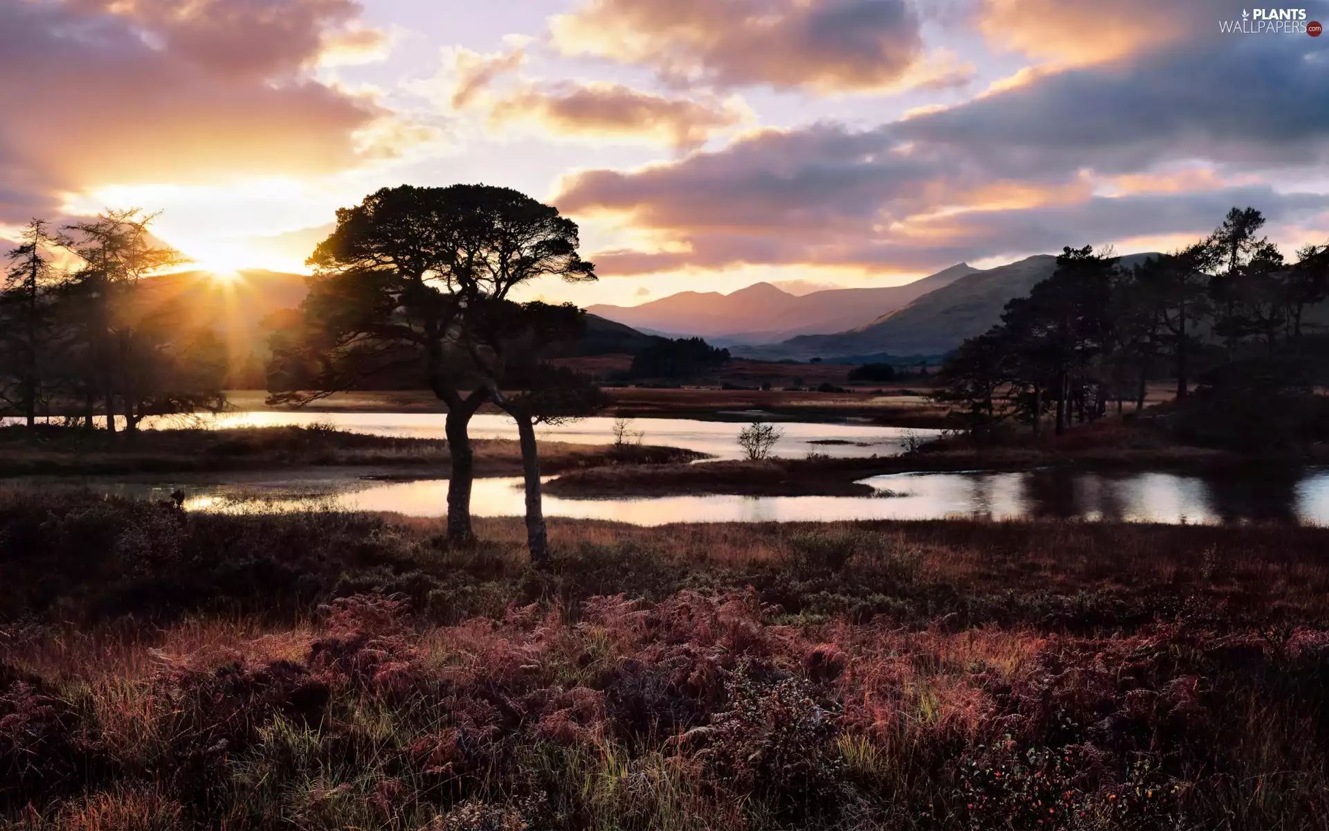 rays, trees, grass, viewes, lake, sun, Mountains