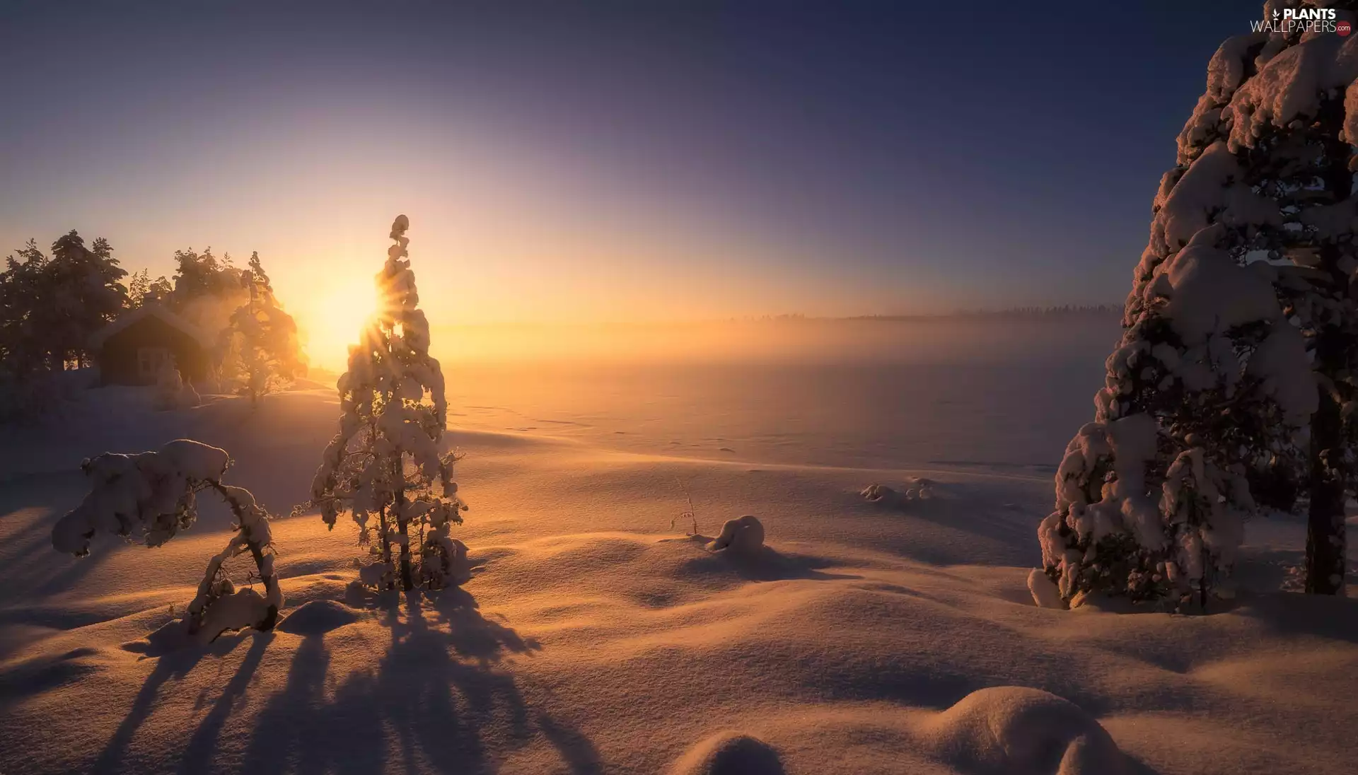 lake, snowy, Ringerike Municipality, Norway, trees, viewes, Great Sunsets, Snowy, winter