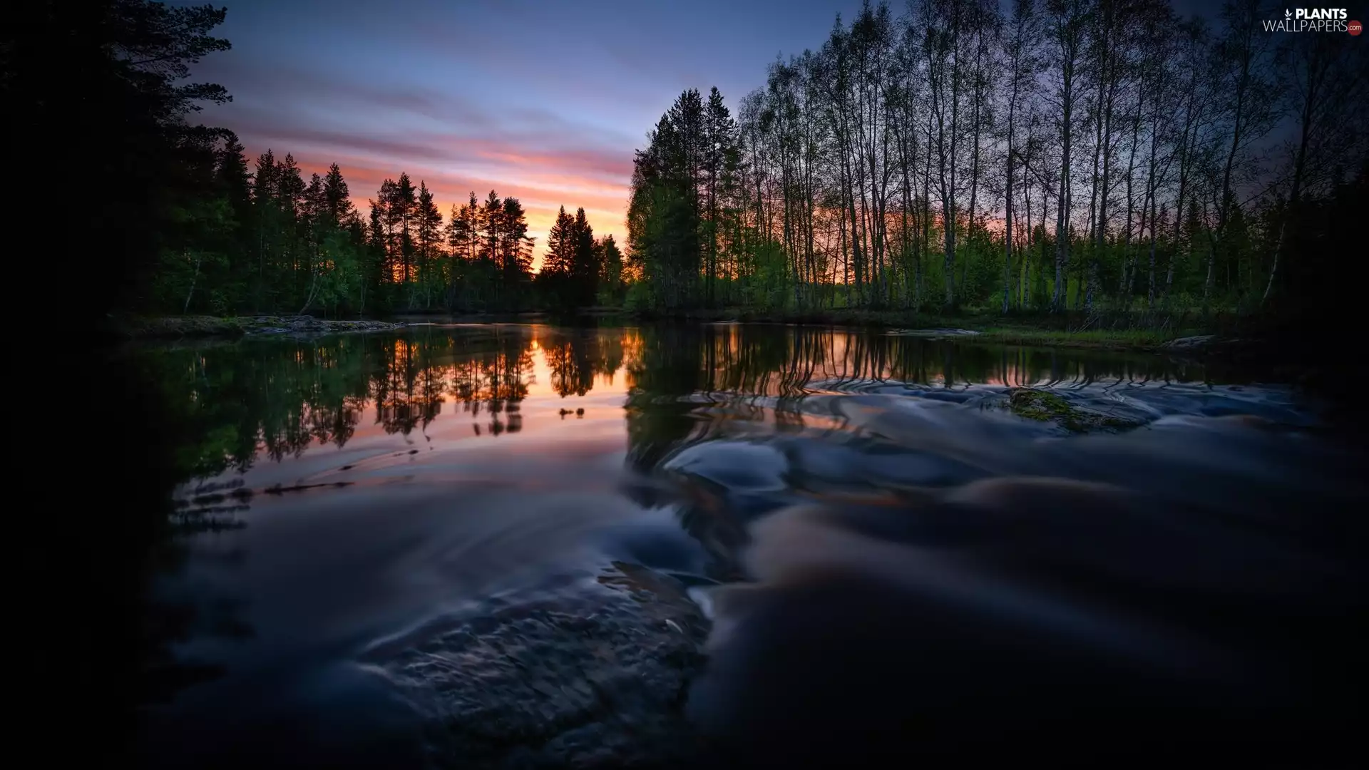 lake, viewes, Great Sunsets, trees