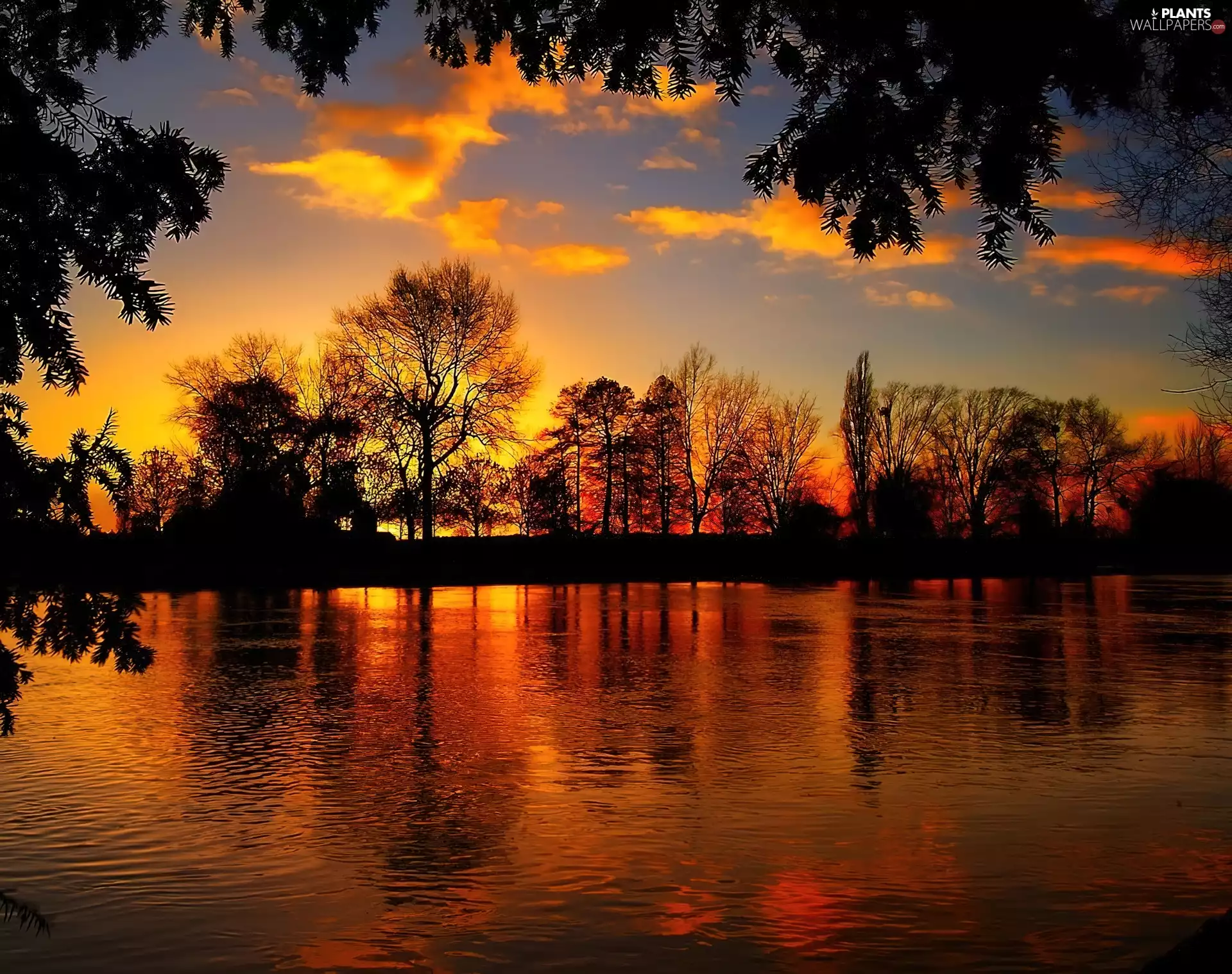 lake, viewes, Great Sunsets, trees