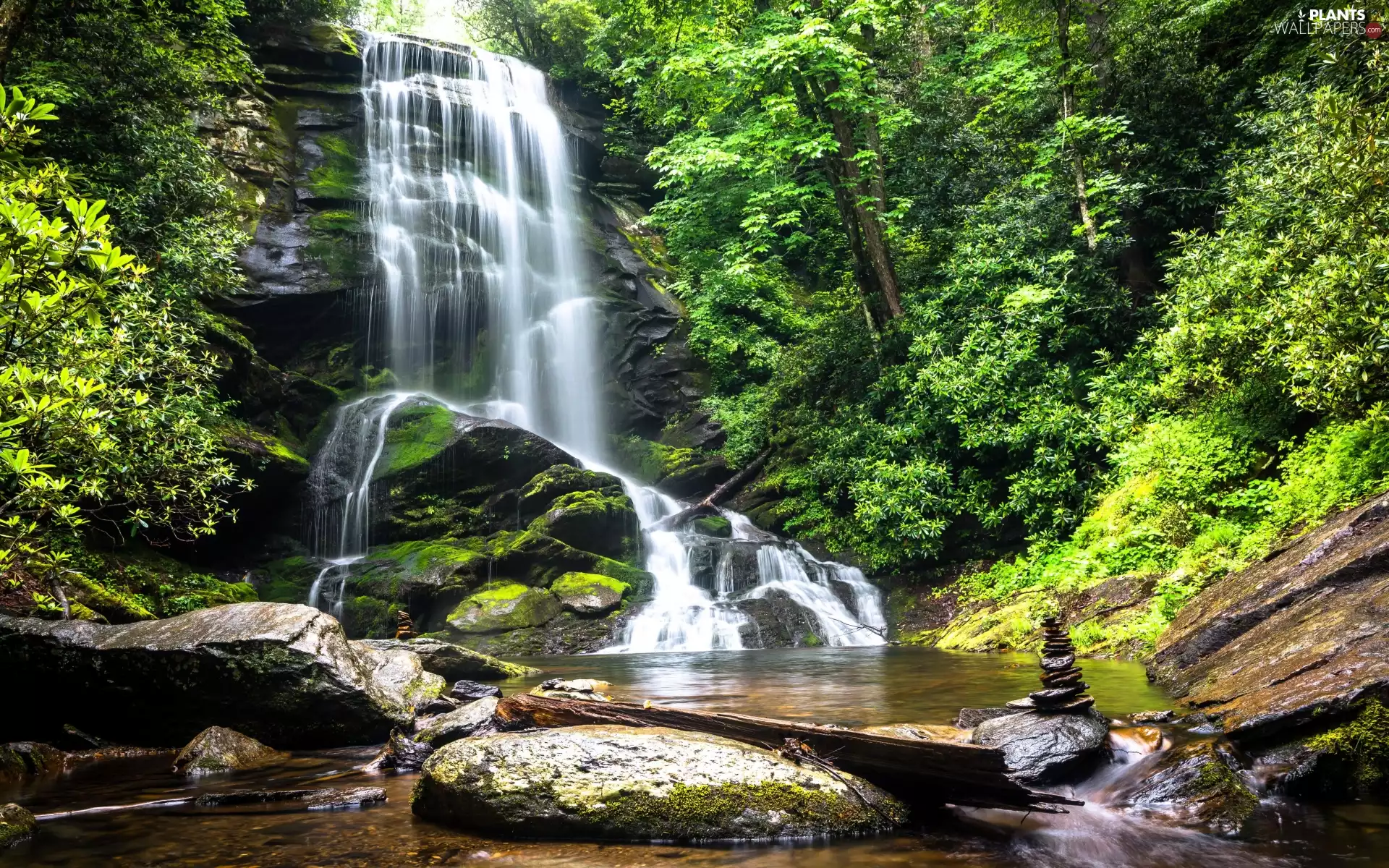 viewes, forest, Stones, waterfall, rocks, trees, green ones, mossy