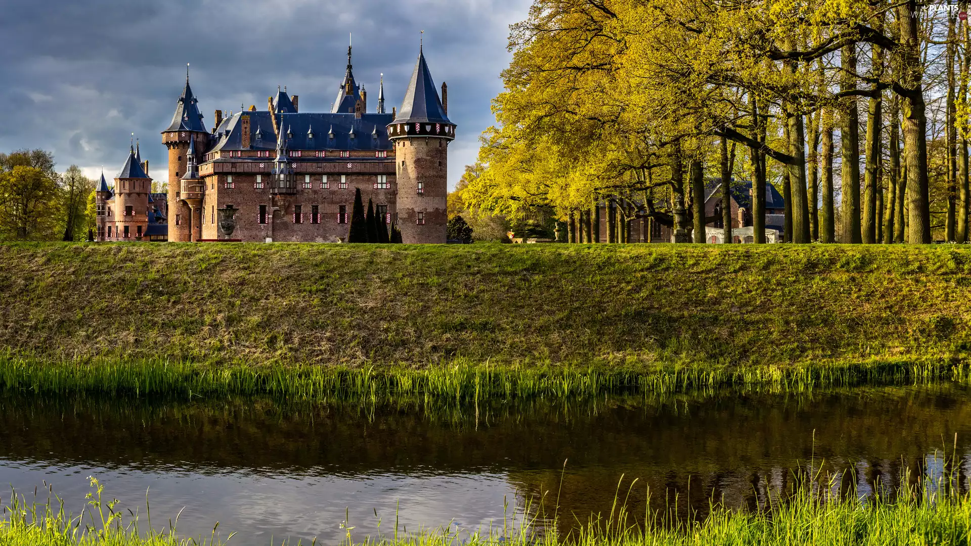 viewes, Park, Utrecht Municipality, trees, De Haar Castle, Haarzuilens, Netherlands