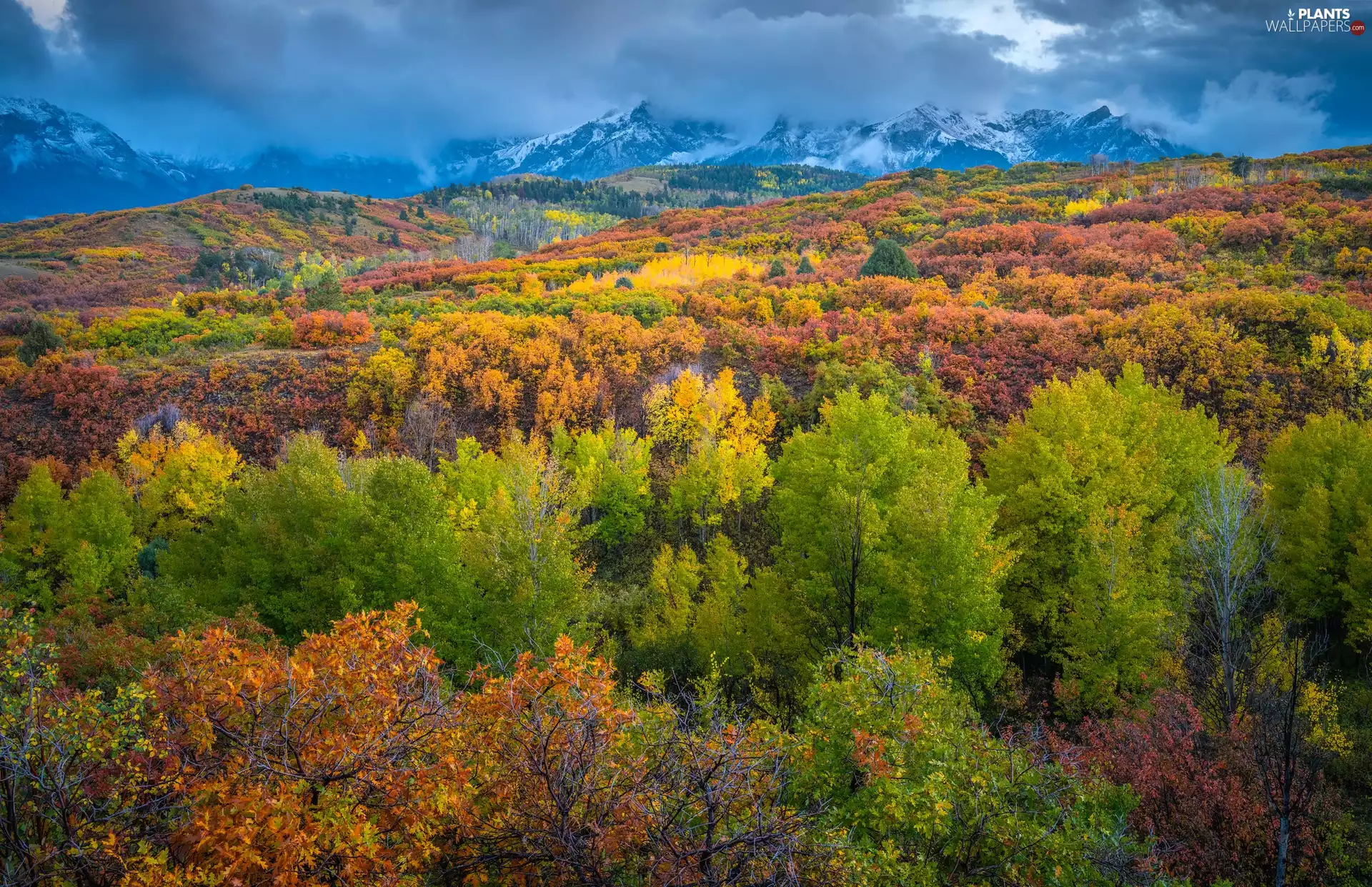 Mountains, autumn, trees, viewes, color, Hazy