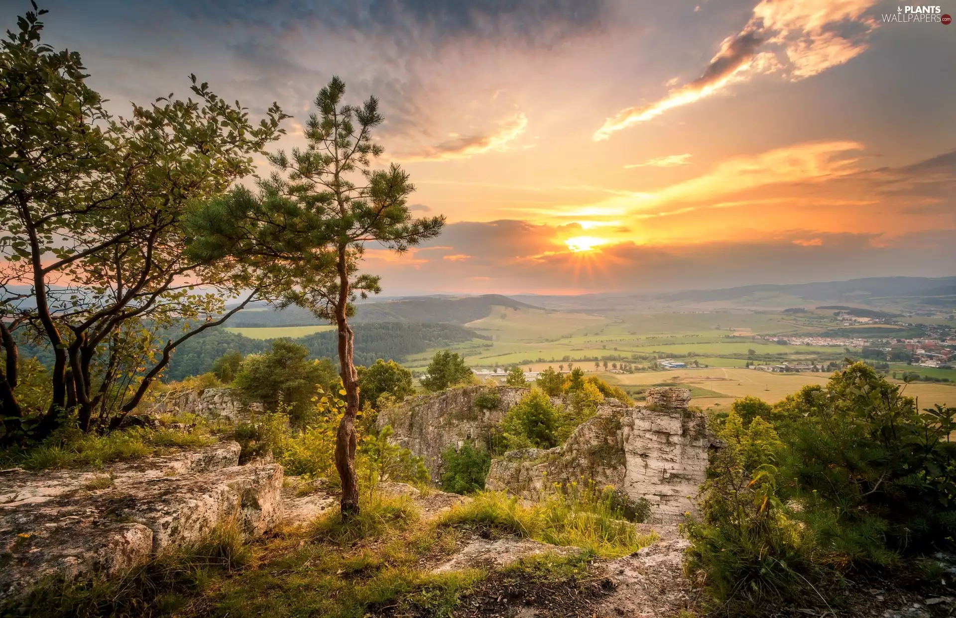 Sunrise, The Hills, viewes, VEGETATION, trees, clouds