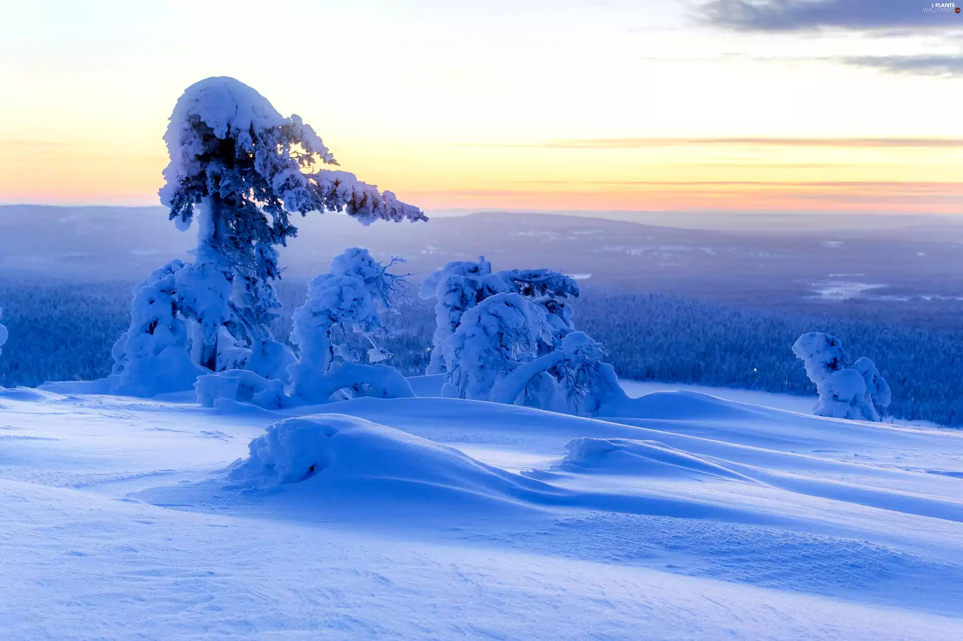 clouds, snow, trees, viewes, The Hills