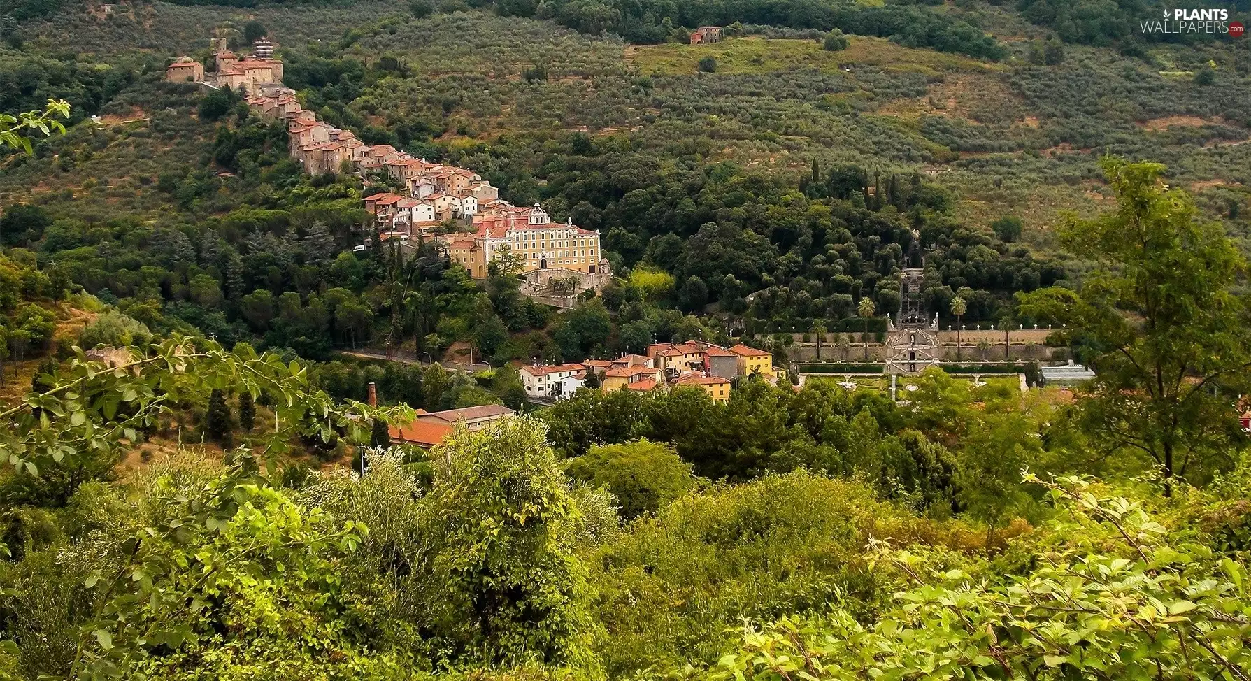 VEGETATION, Houses, trees, viewes, The Hills
