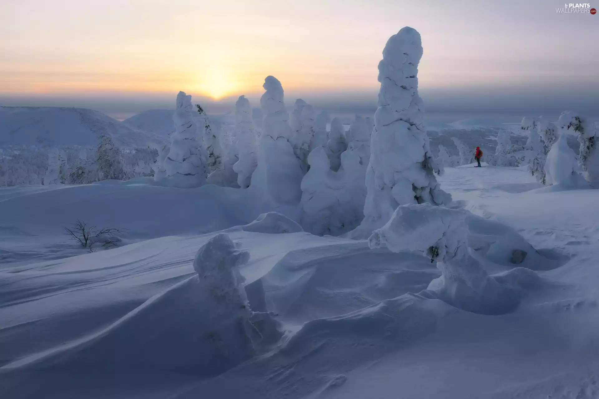 winter, Sunrise, trees, viewes, The Hills