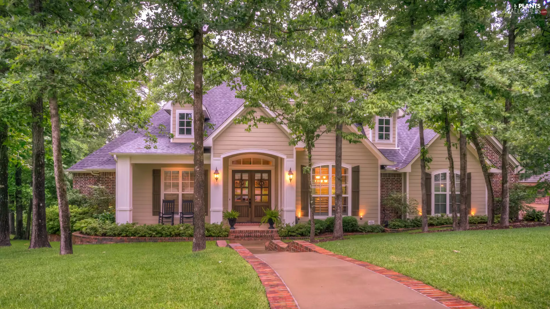 trees, viewes, house, Way, Floodlit