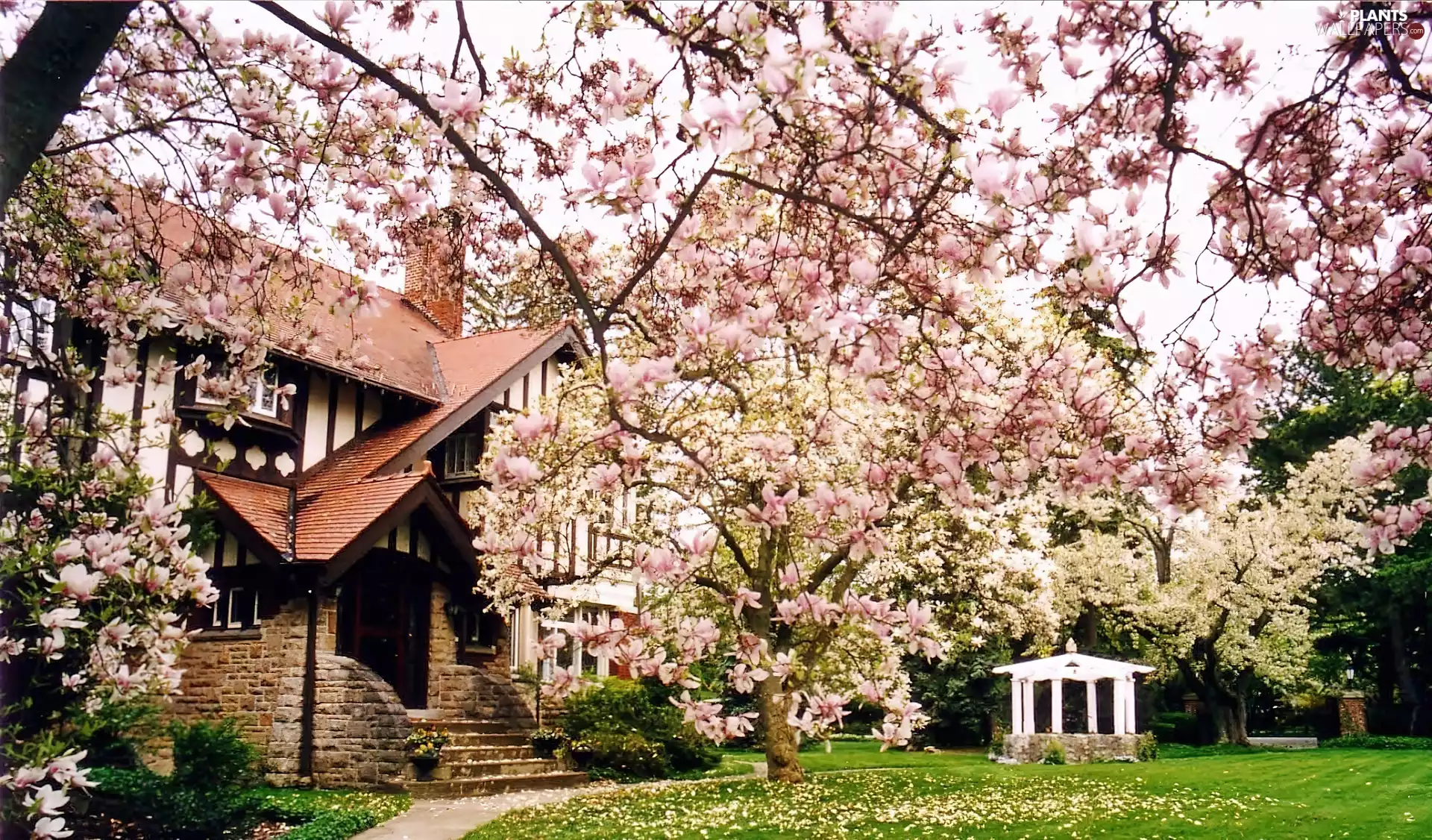 Garden, Spring, trees, viewes, flourishing, house