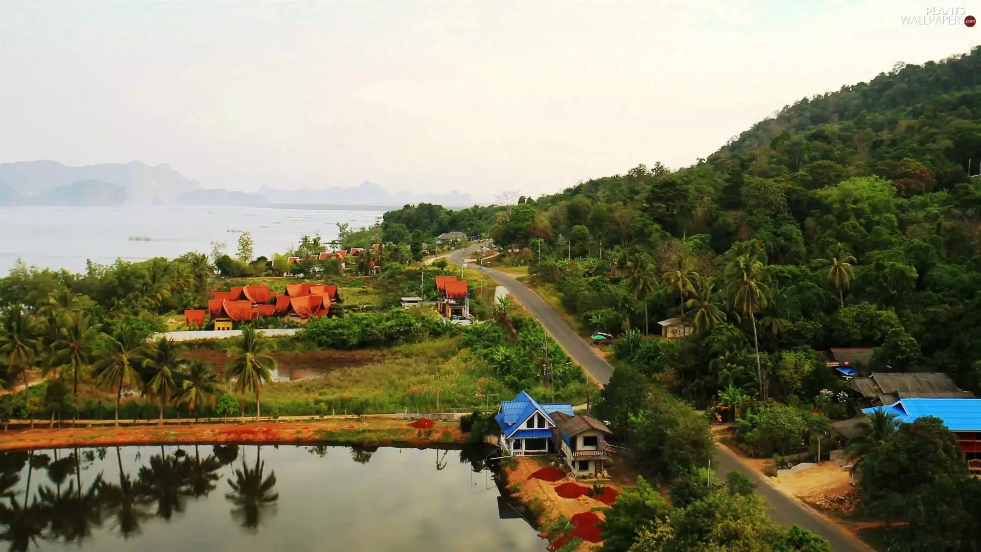 Pond - car, Houses, viewes, Thailand, trees, Way