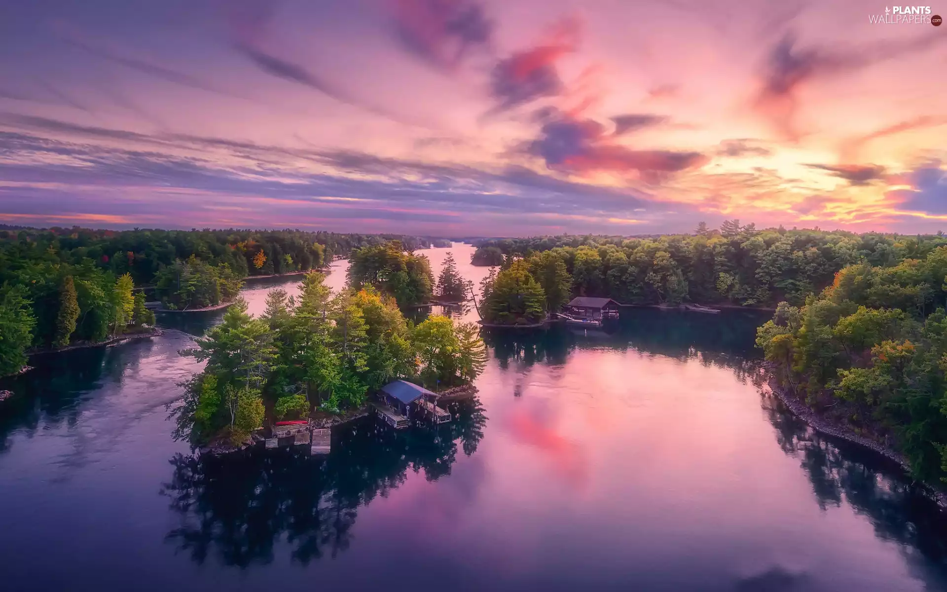 trees, viewes, Houses, forest, lake