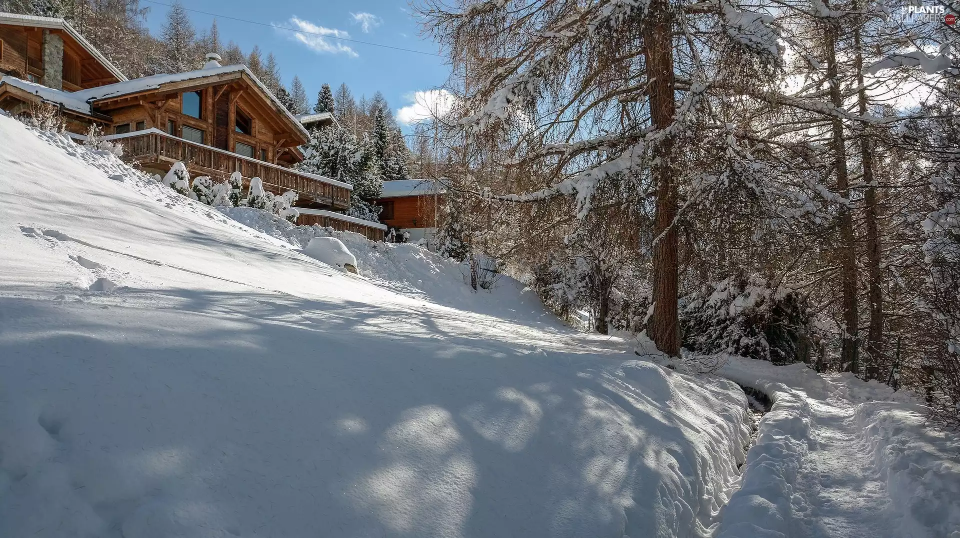 trees, viewes, Houses, Snowy, winter